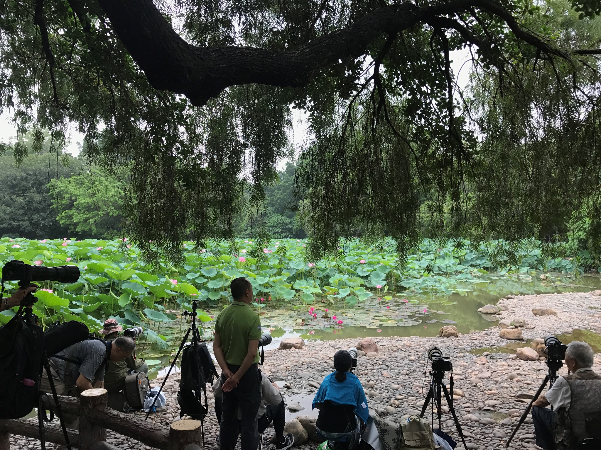 深圳自助遊攻略