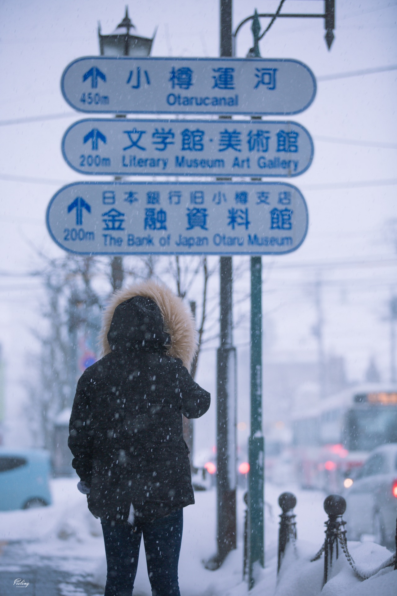 北海道自助遊攻略