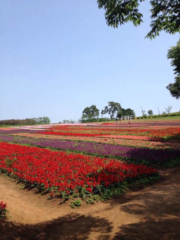 花蓮自助遊攻略