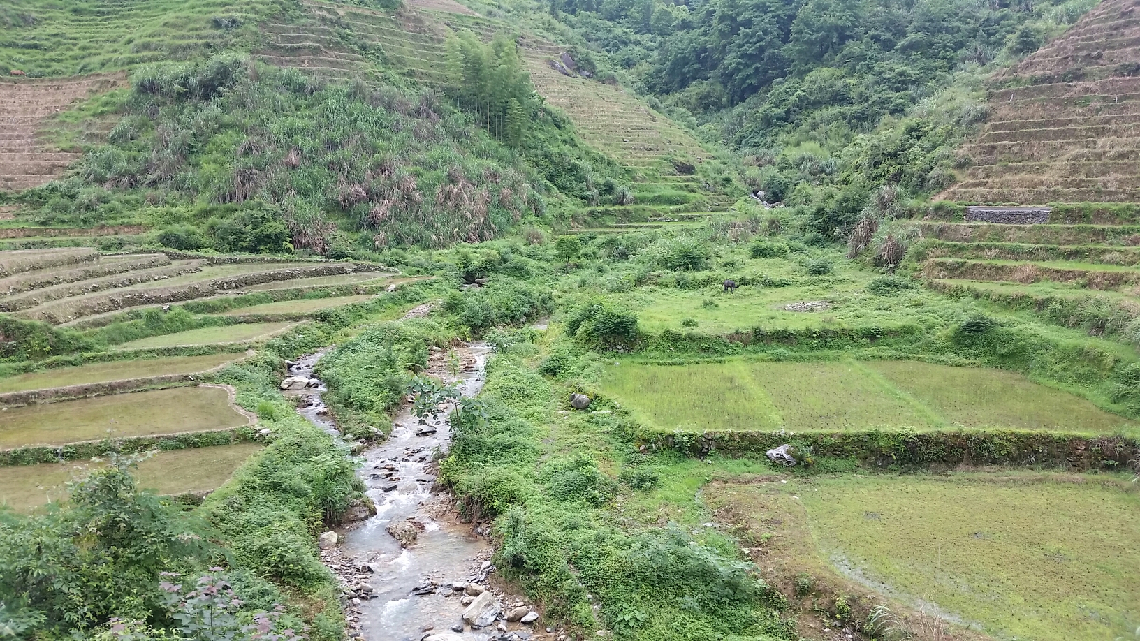 龍脊梯田自助遊攻略