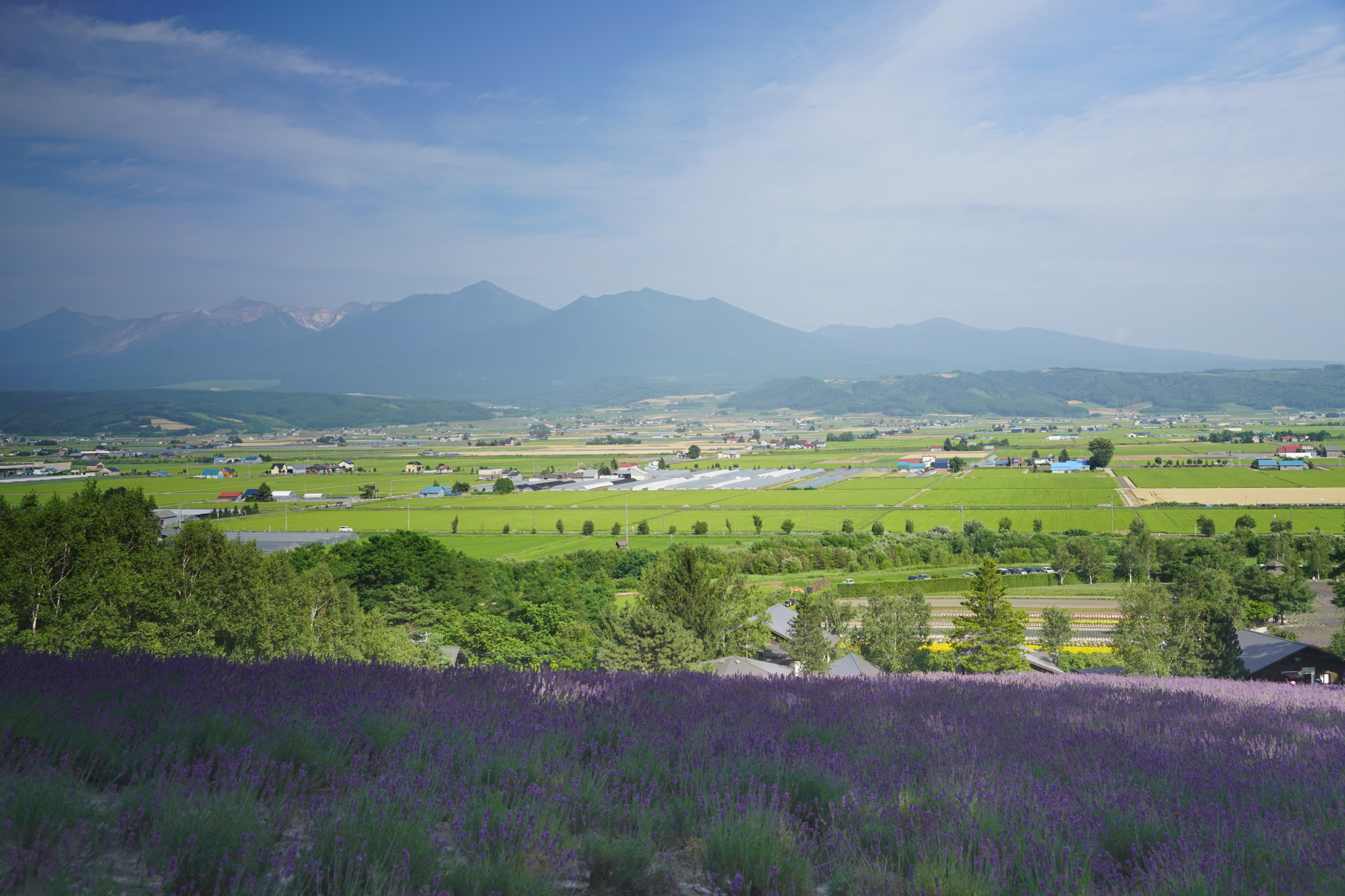 北海道自助遊攻略