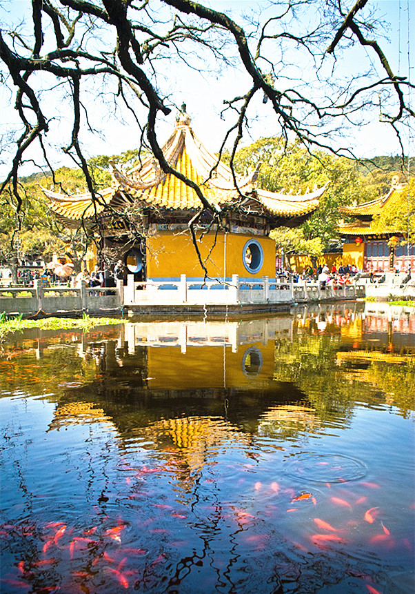 普陀山2日遊(住1晚農家 南海觀音 普濟寺 法雨寺 慧濟寺 鐵定發團)