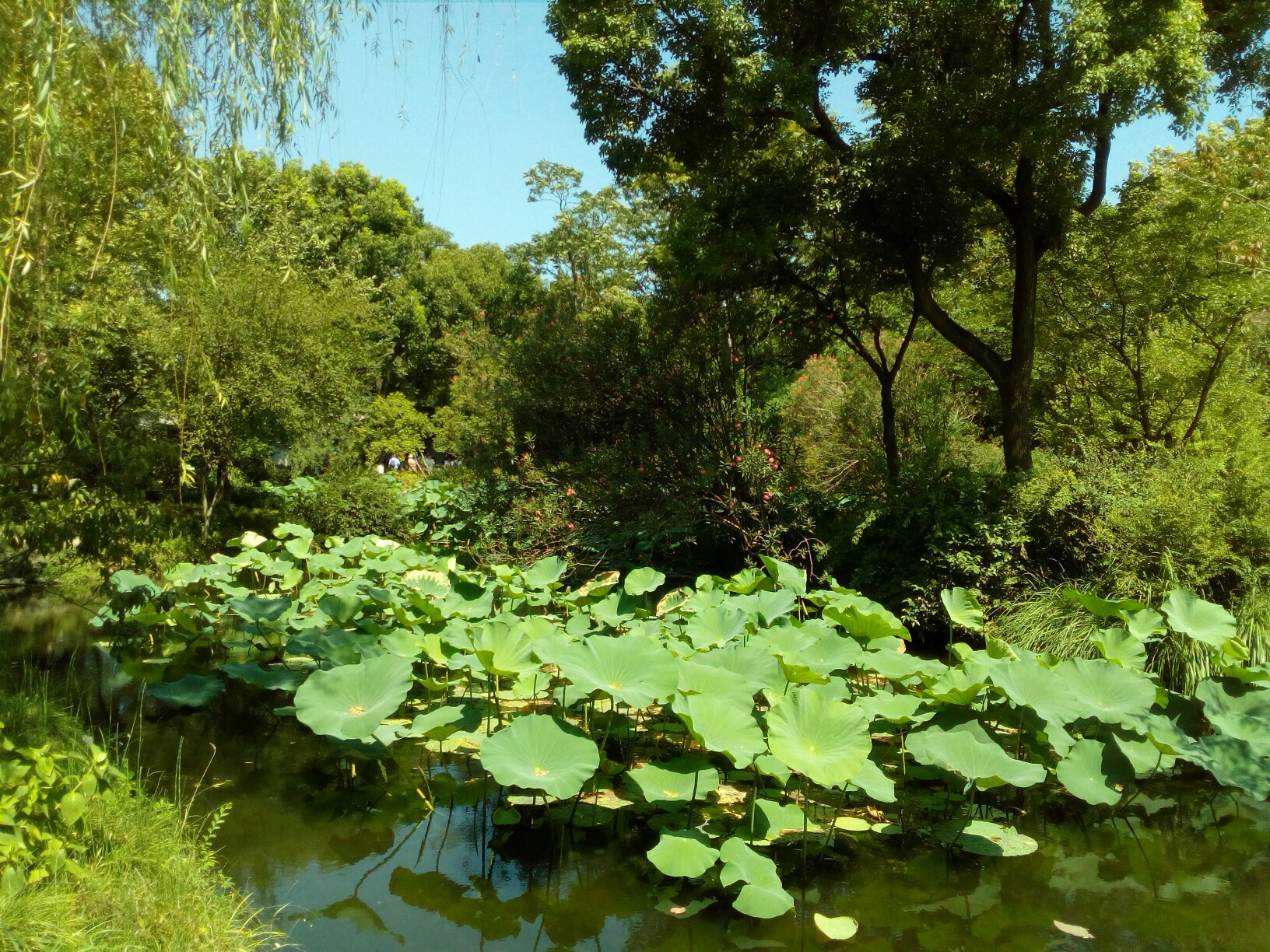 蘇州自助遊攻略