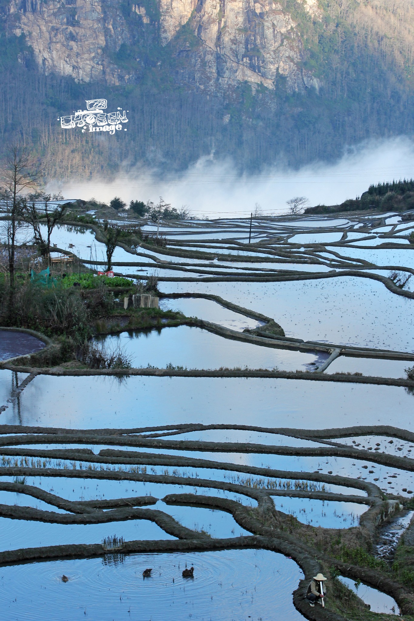 雲南自助遊攻略