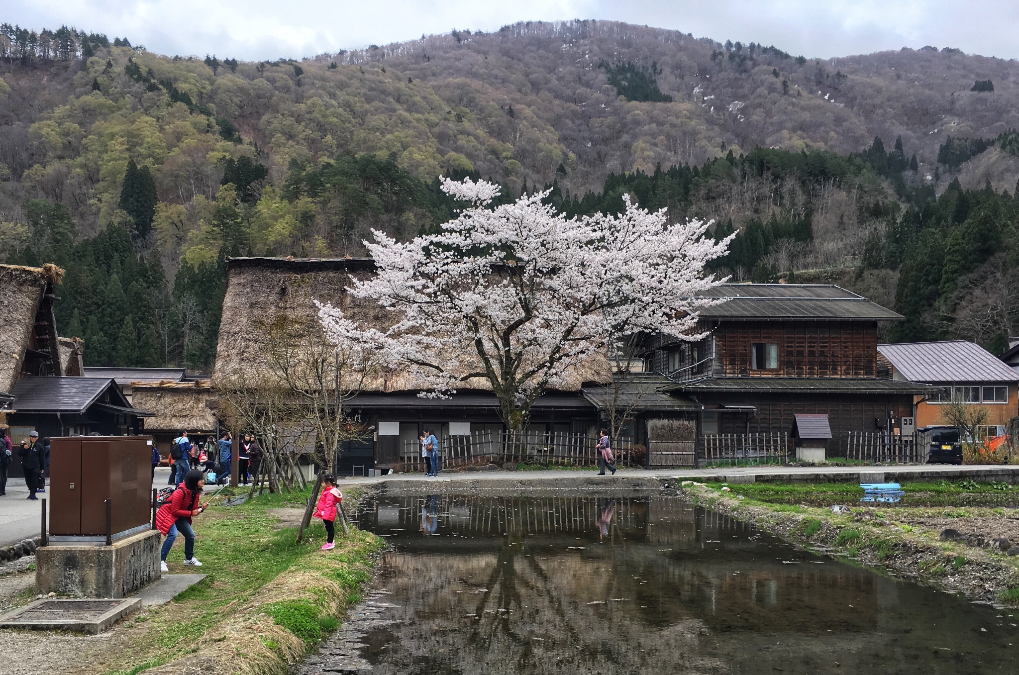 名古屋自助遊攻略