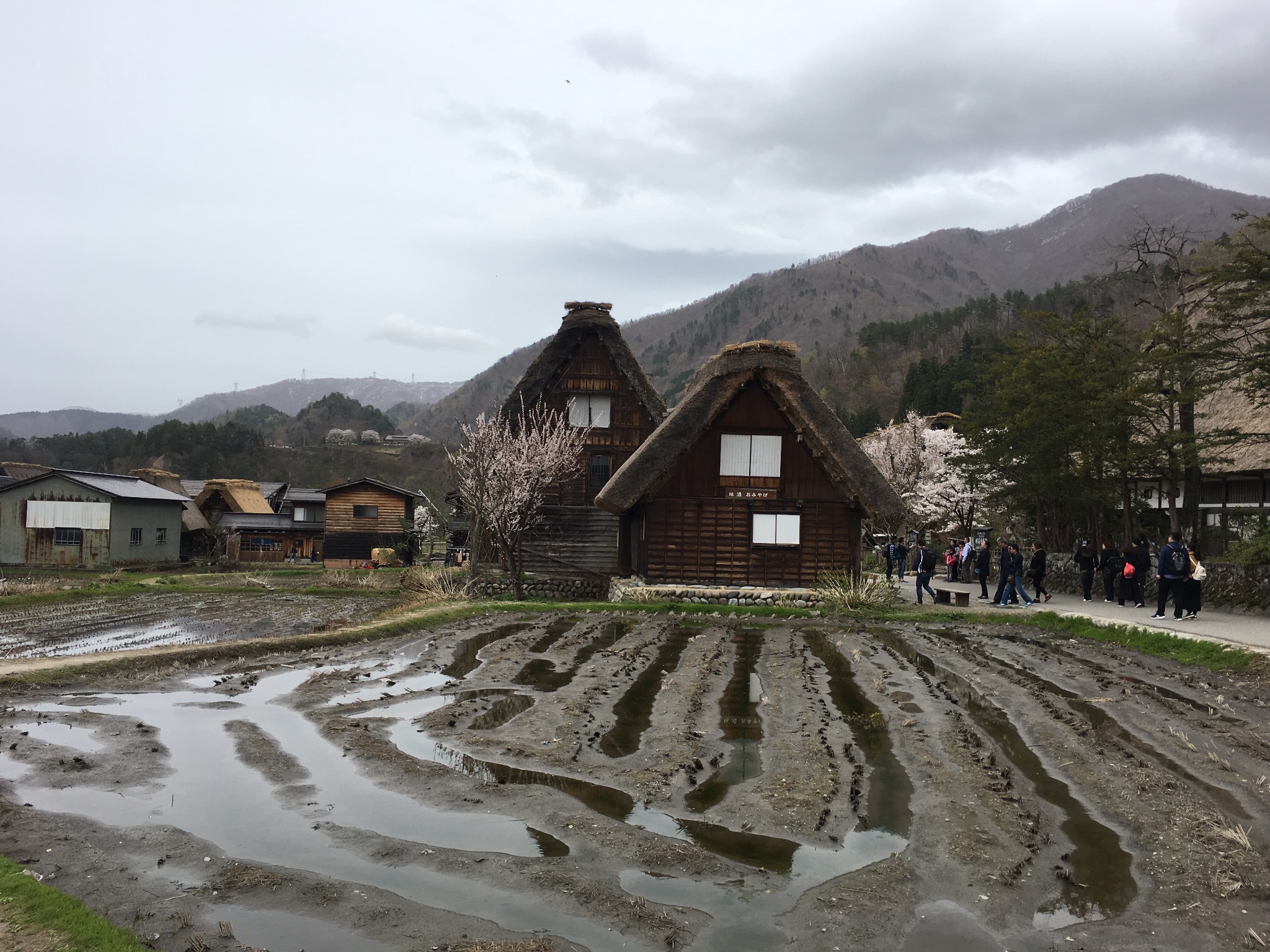 名古屋自助遊攻略