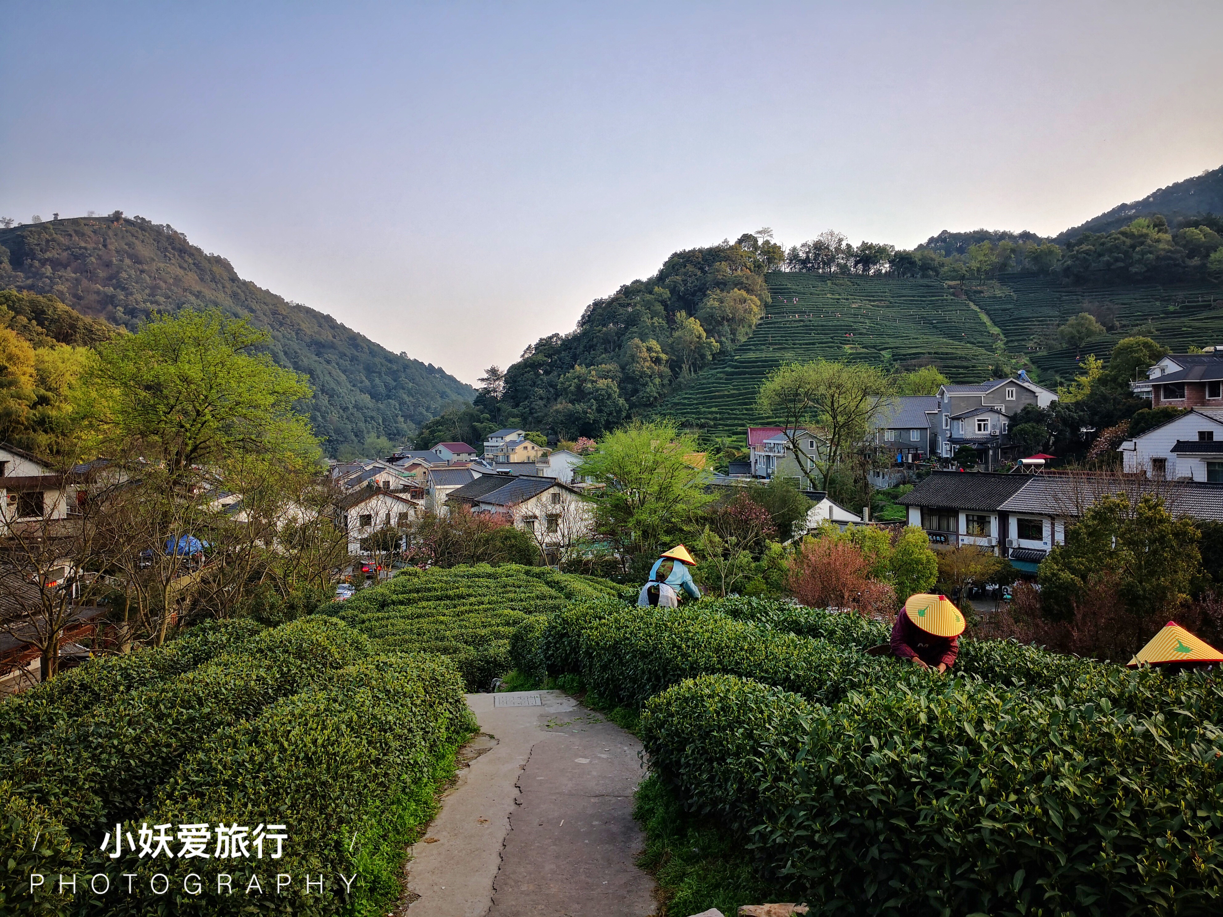 龙井村景区图片