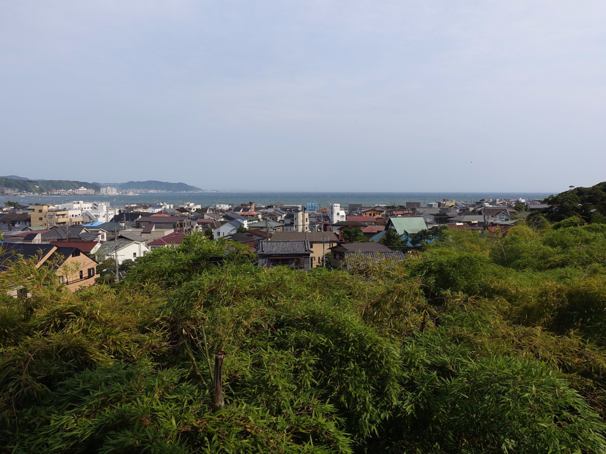 東京自助遊攻略