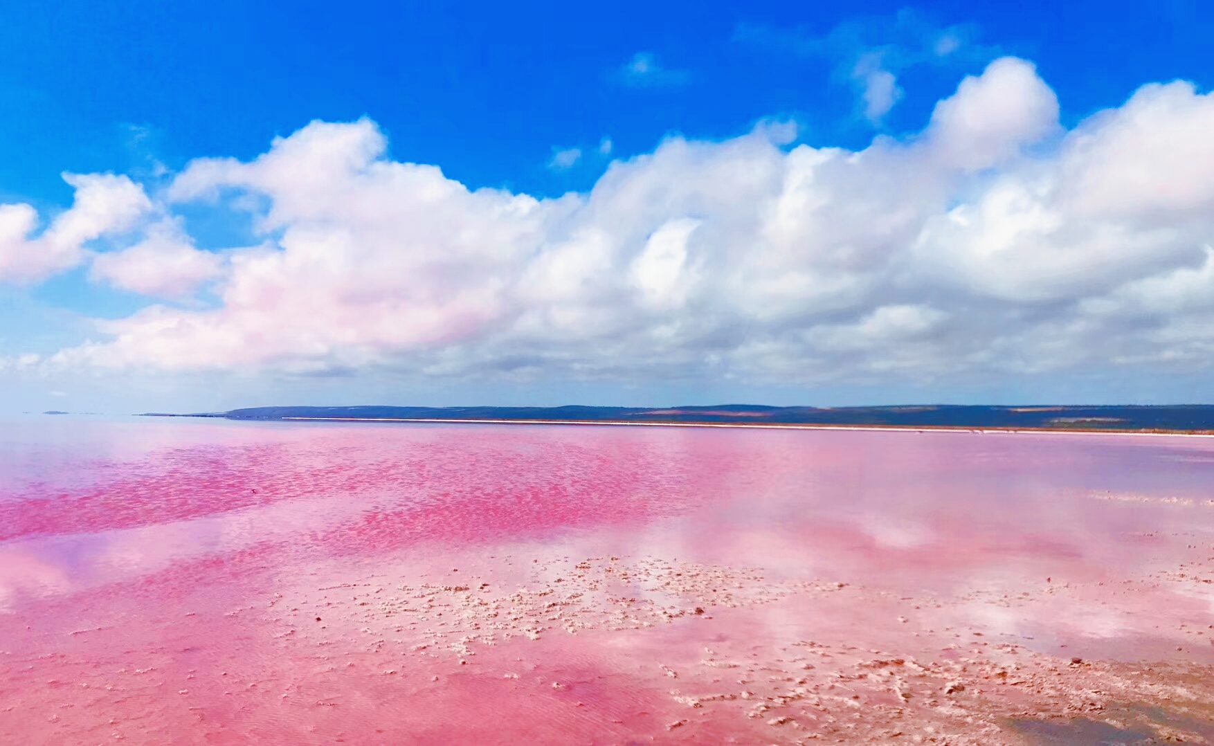 当地出发 | 西澳 珀斯粉红湖 猴子米亚 贝壳海滩 遇见海豚 尖峰石阵