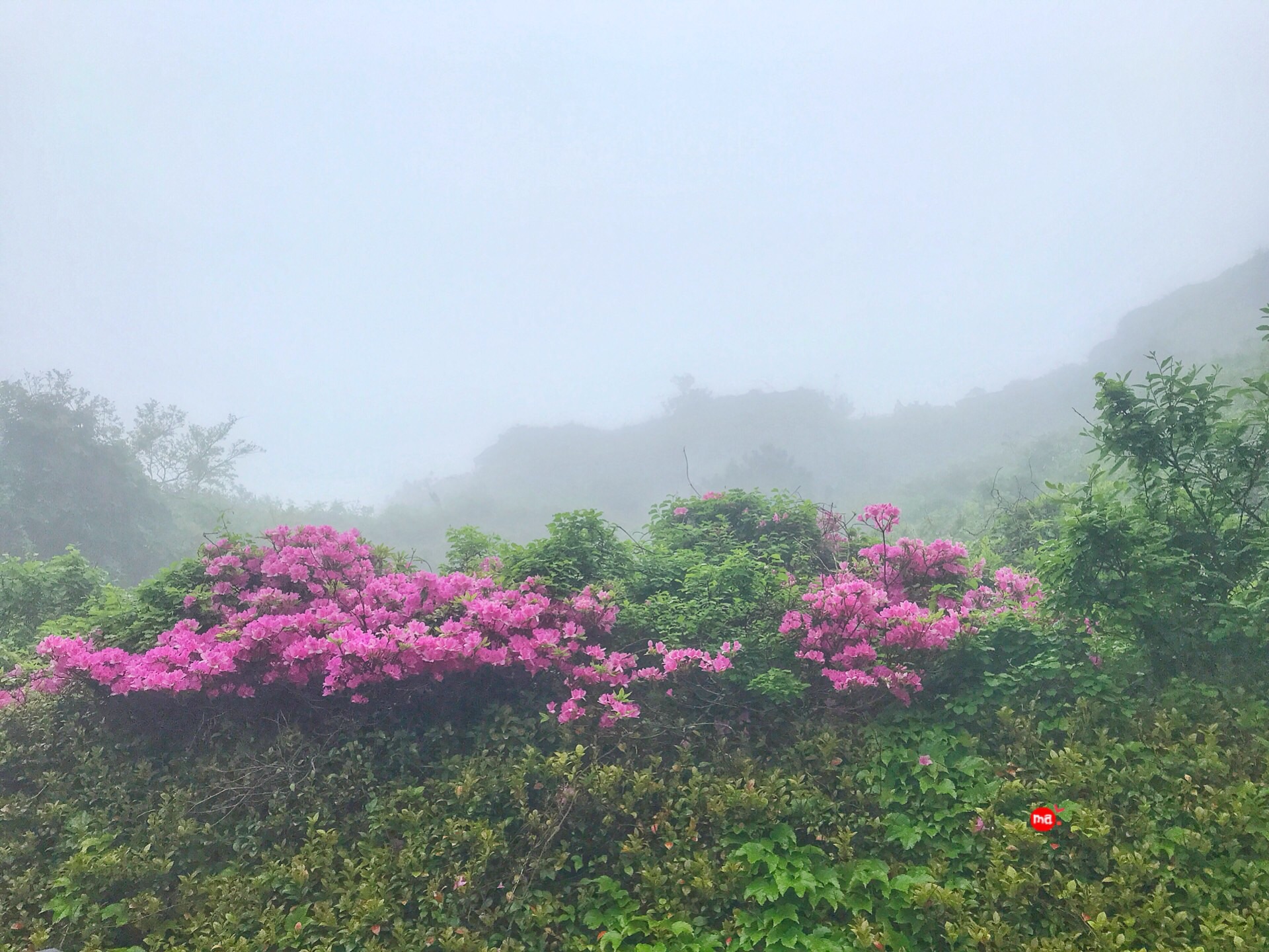 濟州島自助遊攻略