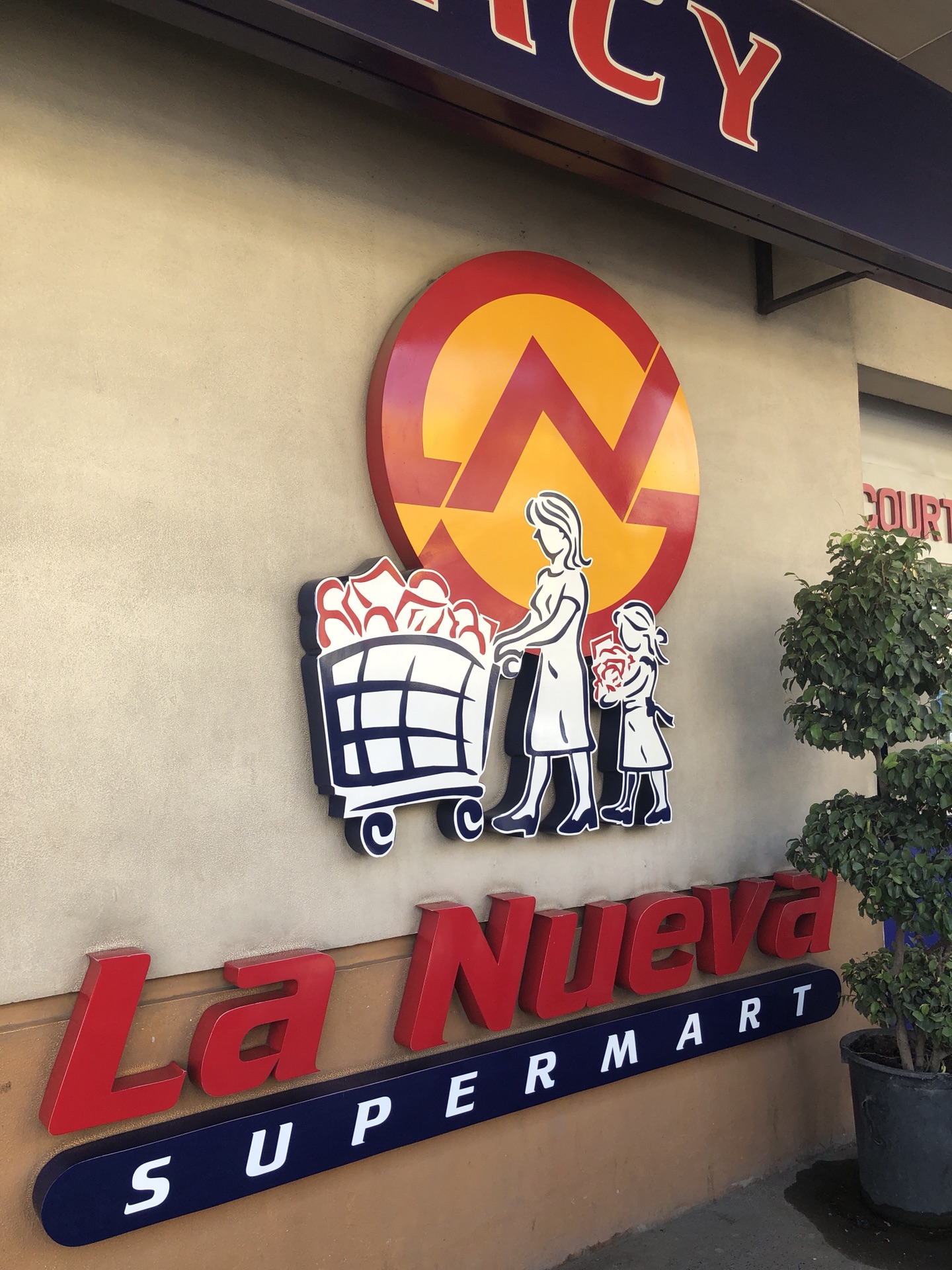 薄荷岛的清凉暖冬