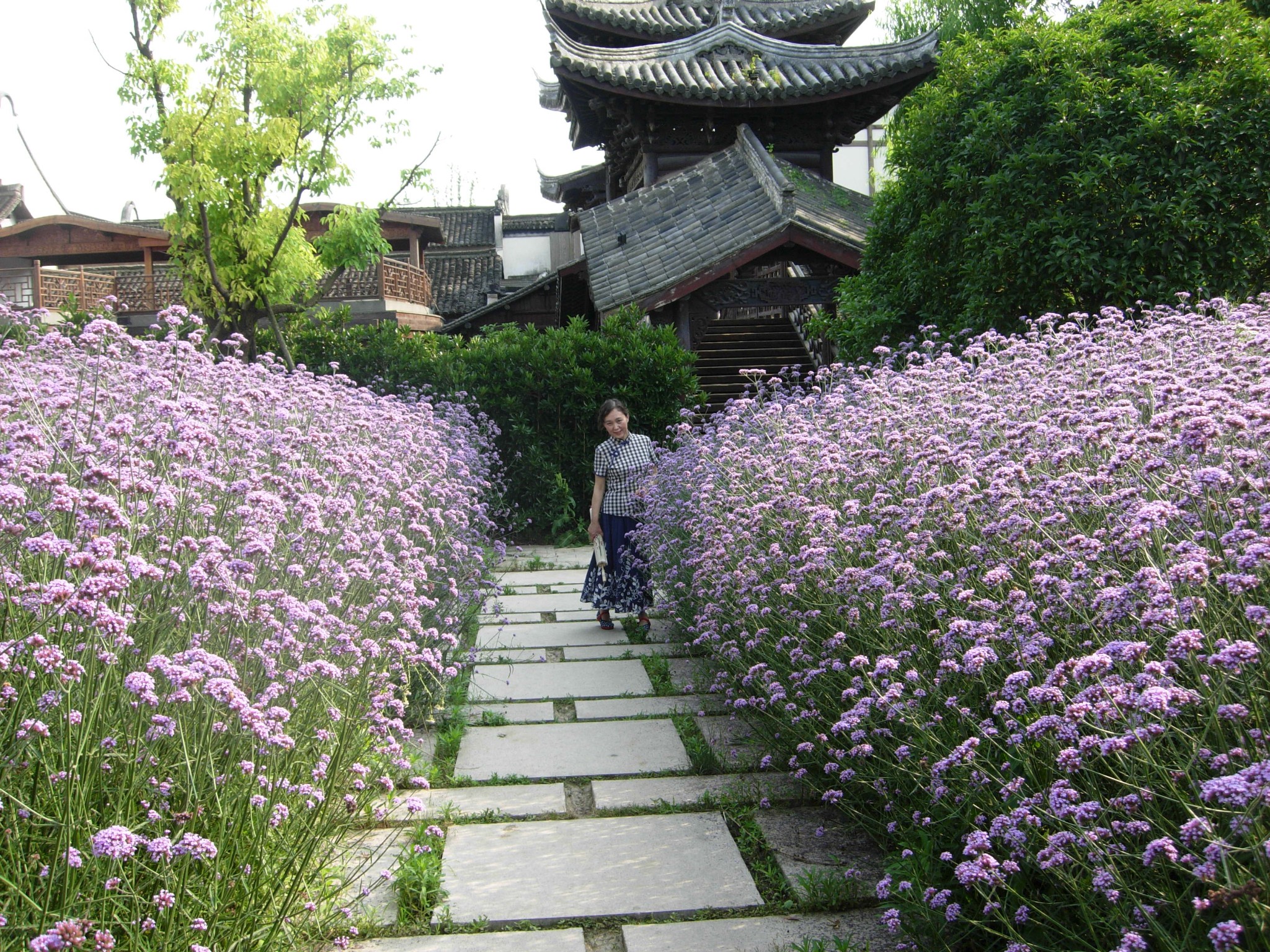 烏鎮自助遊攻略