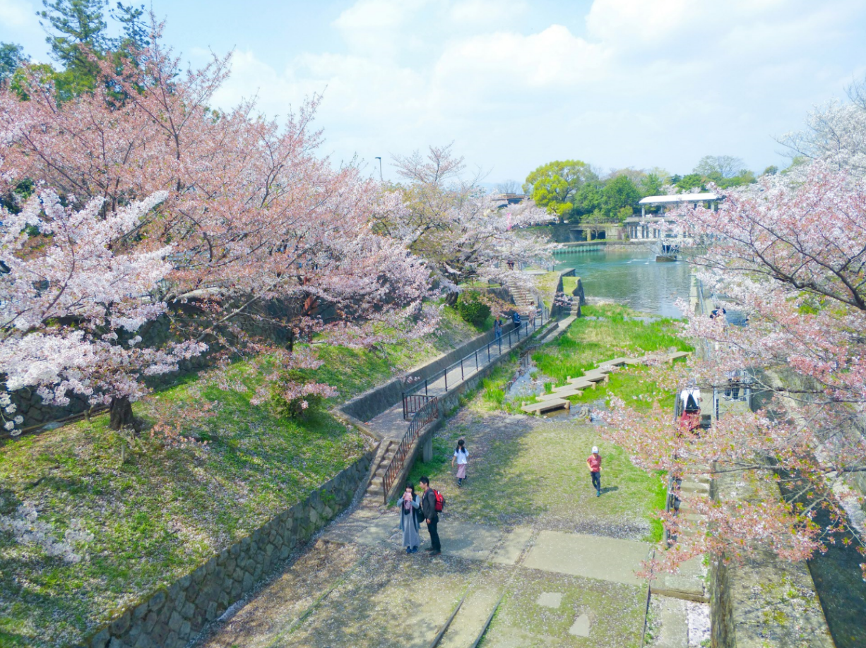 京都自助遊攻略