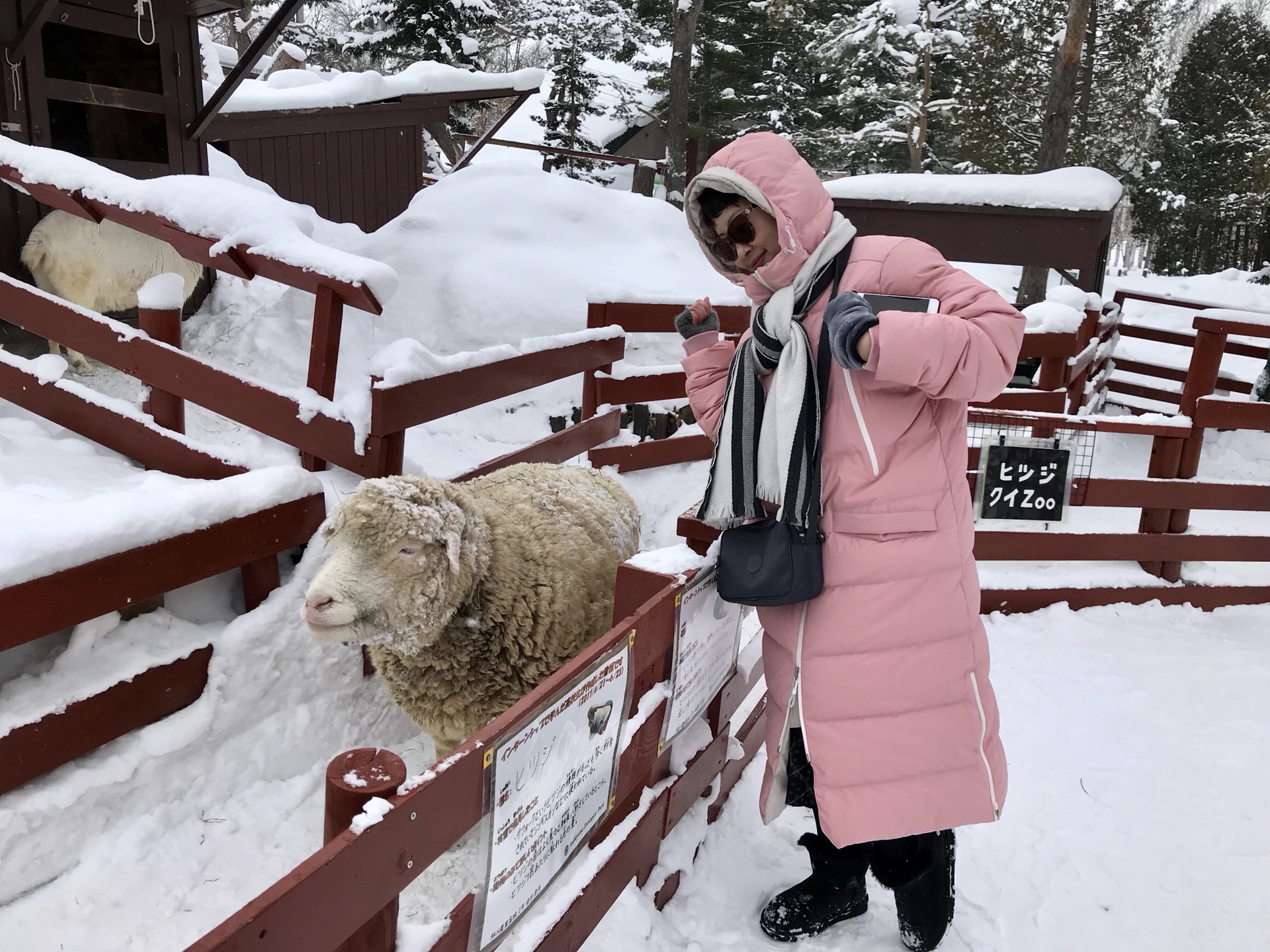 北海道自助遊攻略