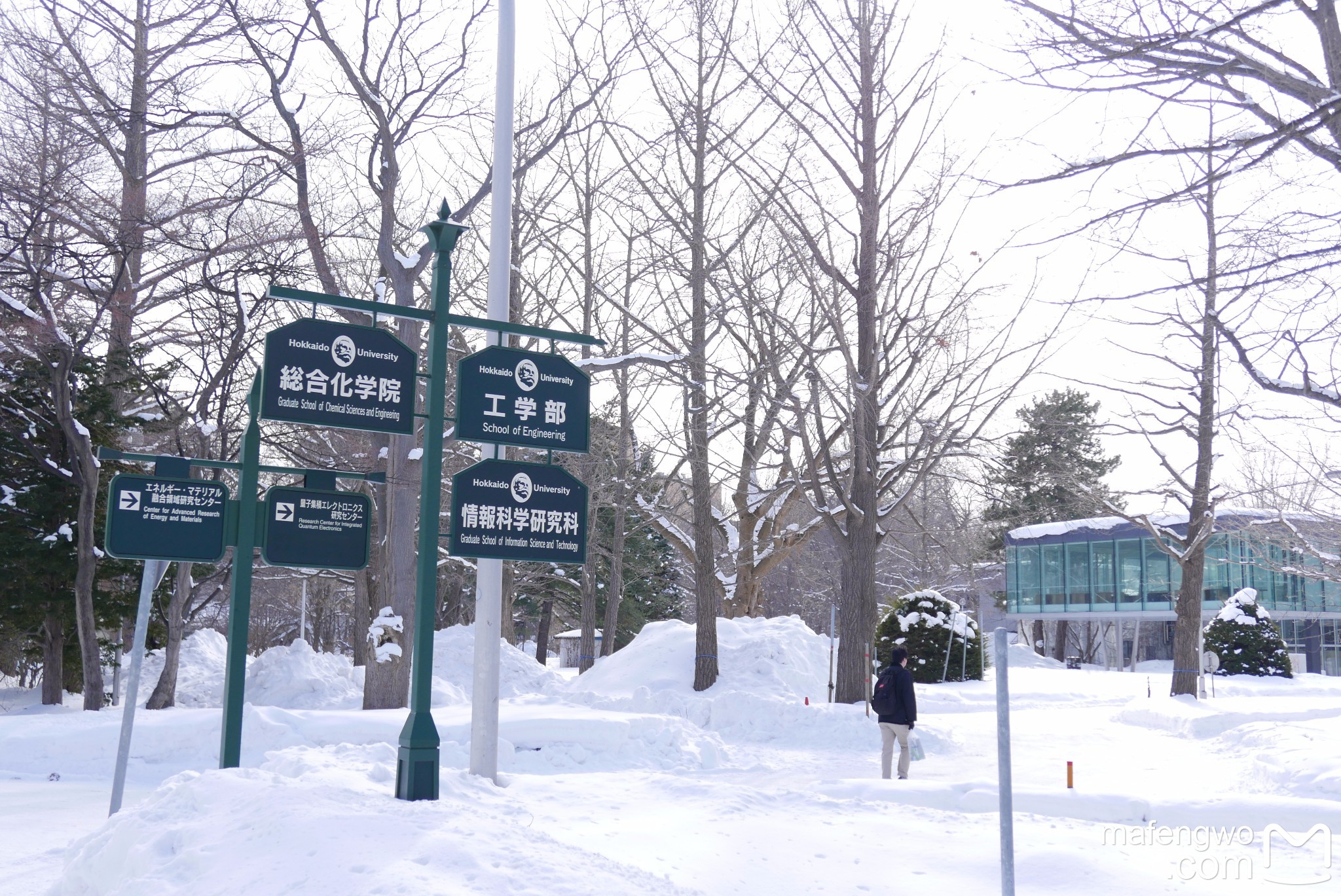 北海道自助遊攻略