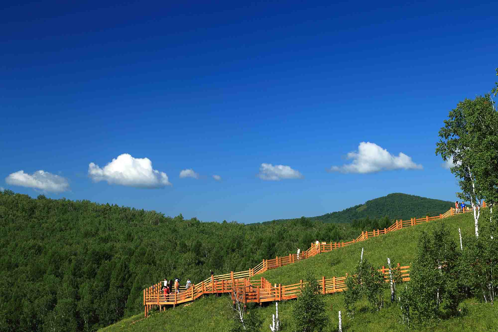 呼伦贝尔草原阿尔山自然生态休闲度假8日游(跑男拍摄地.