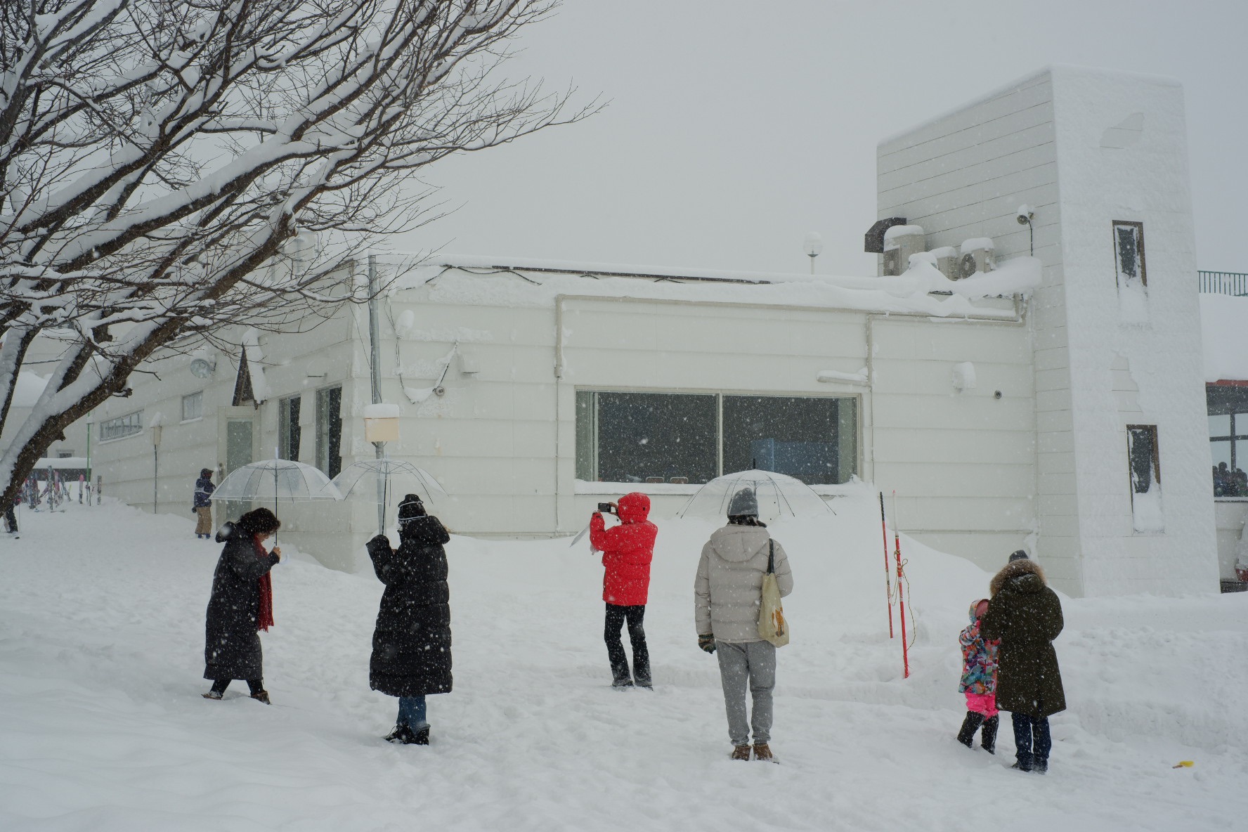 北海道自助遊攻略