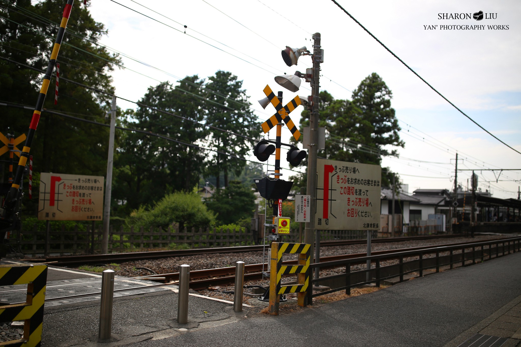 東京自助遊攻略