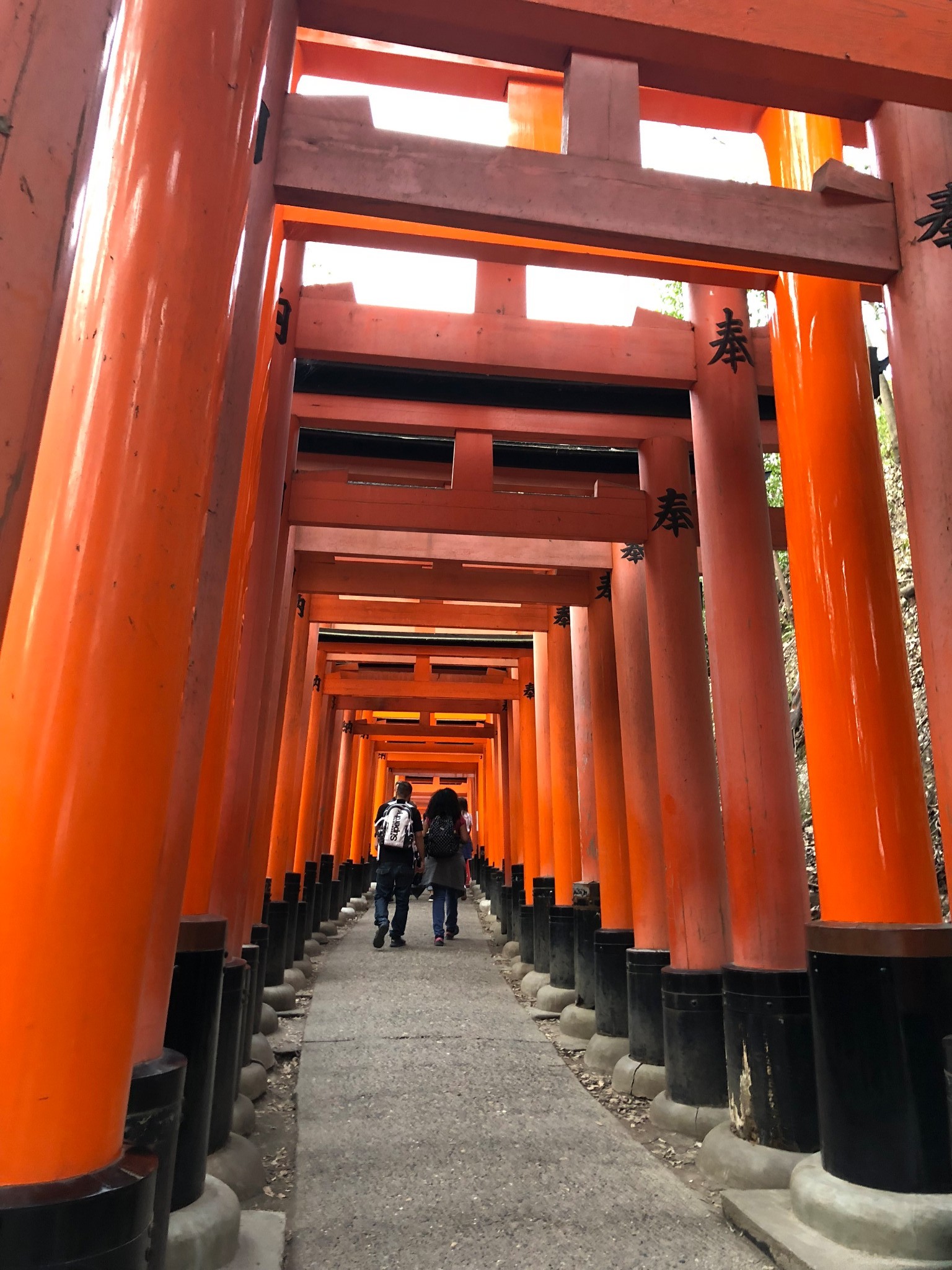 京都自助遊攻略