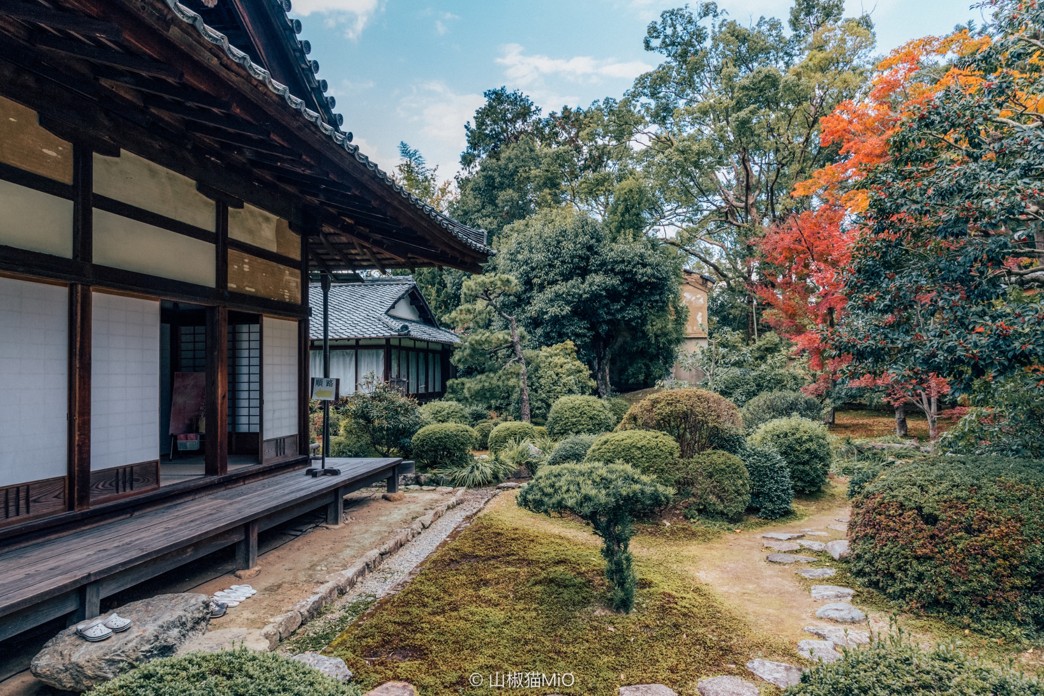 京都自助遊攻略