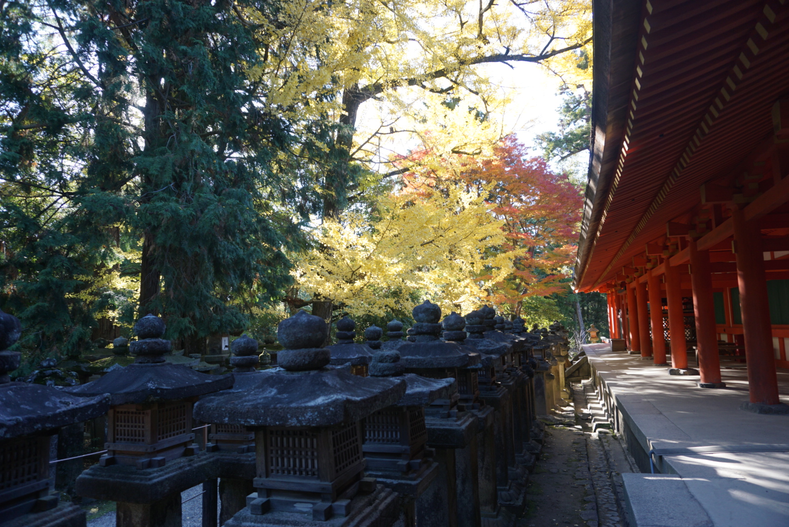 京都自助遊攻略