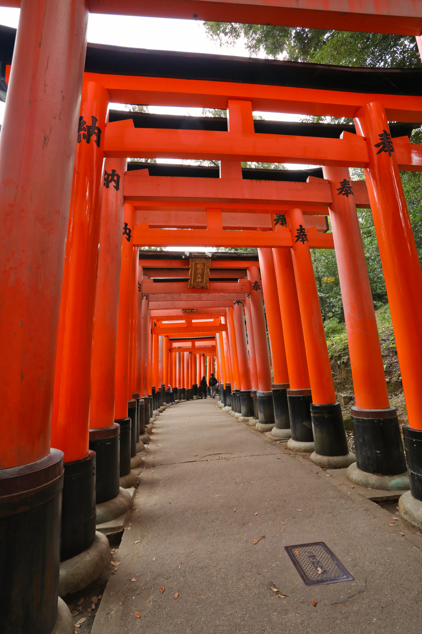 京都自助遊攻略