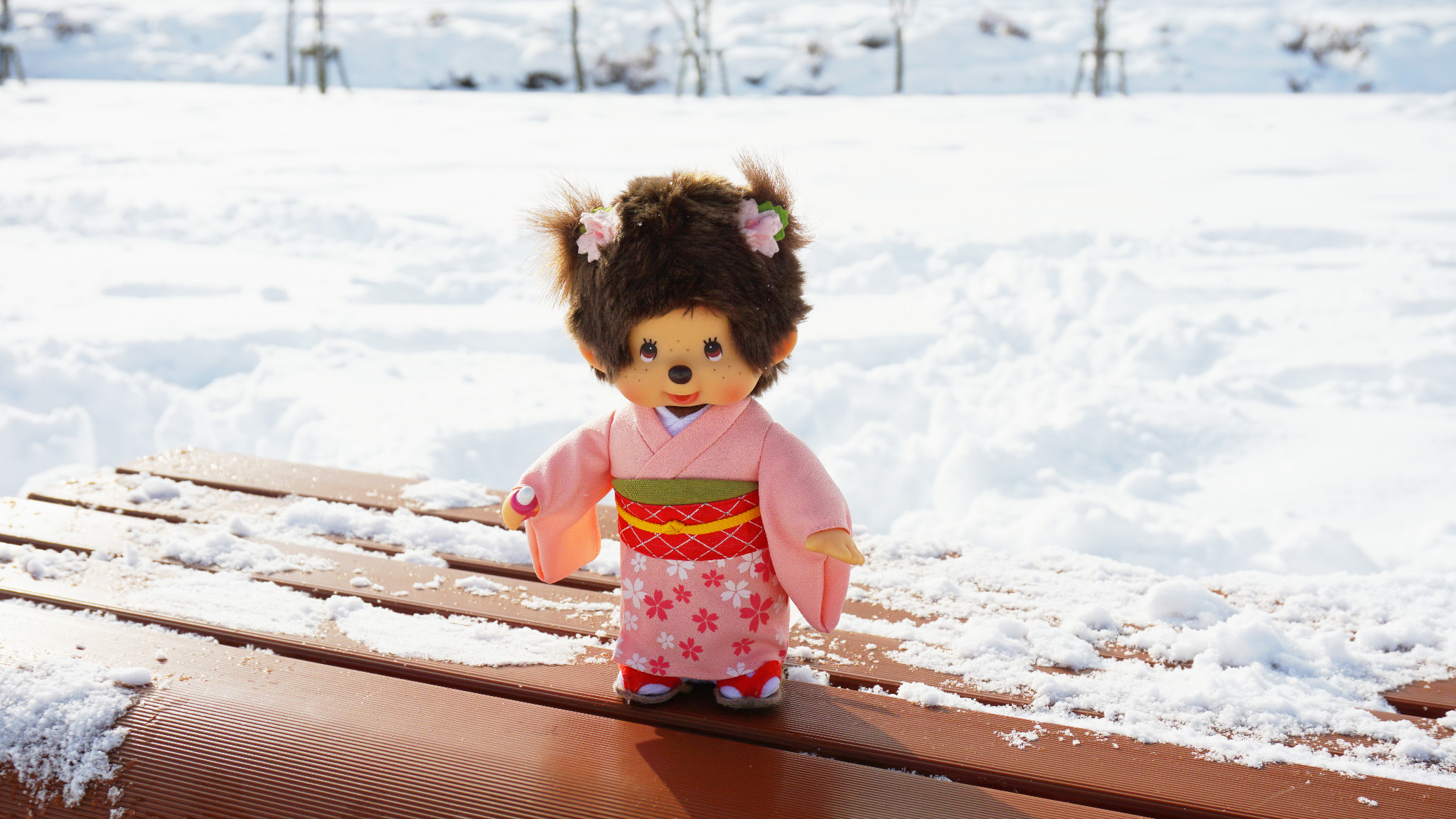 引用 克莱尔小熊 的图片