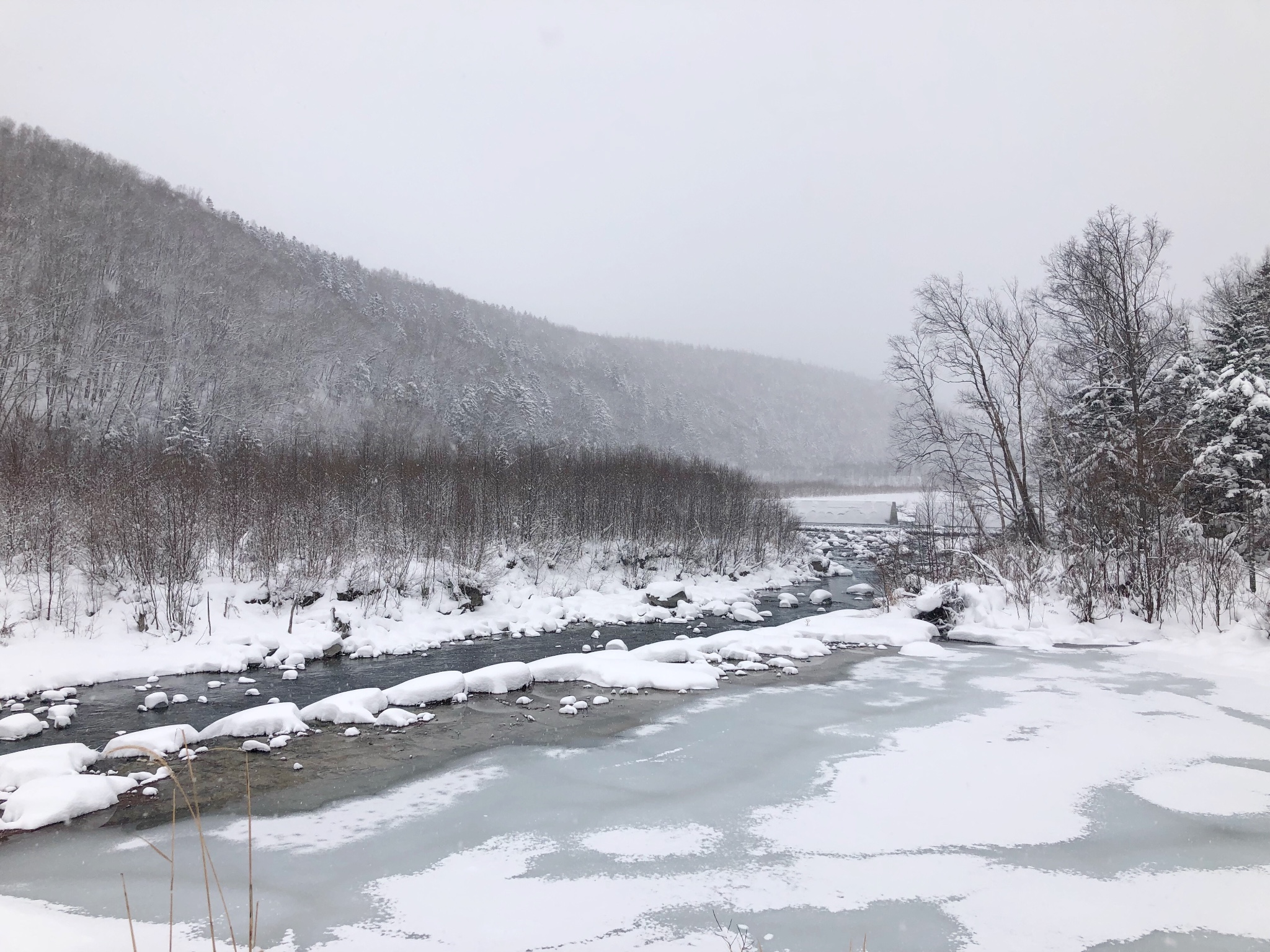 北海道自助遊攻略