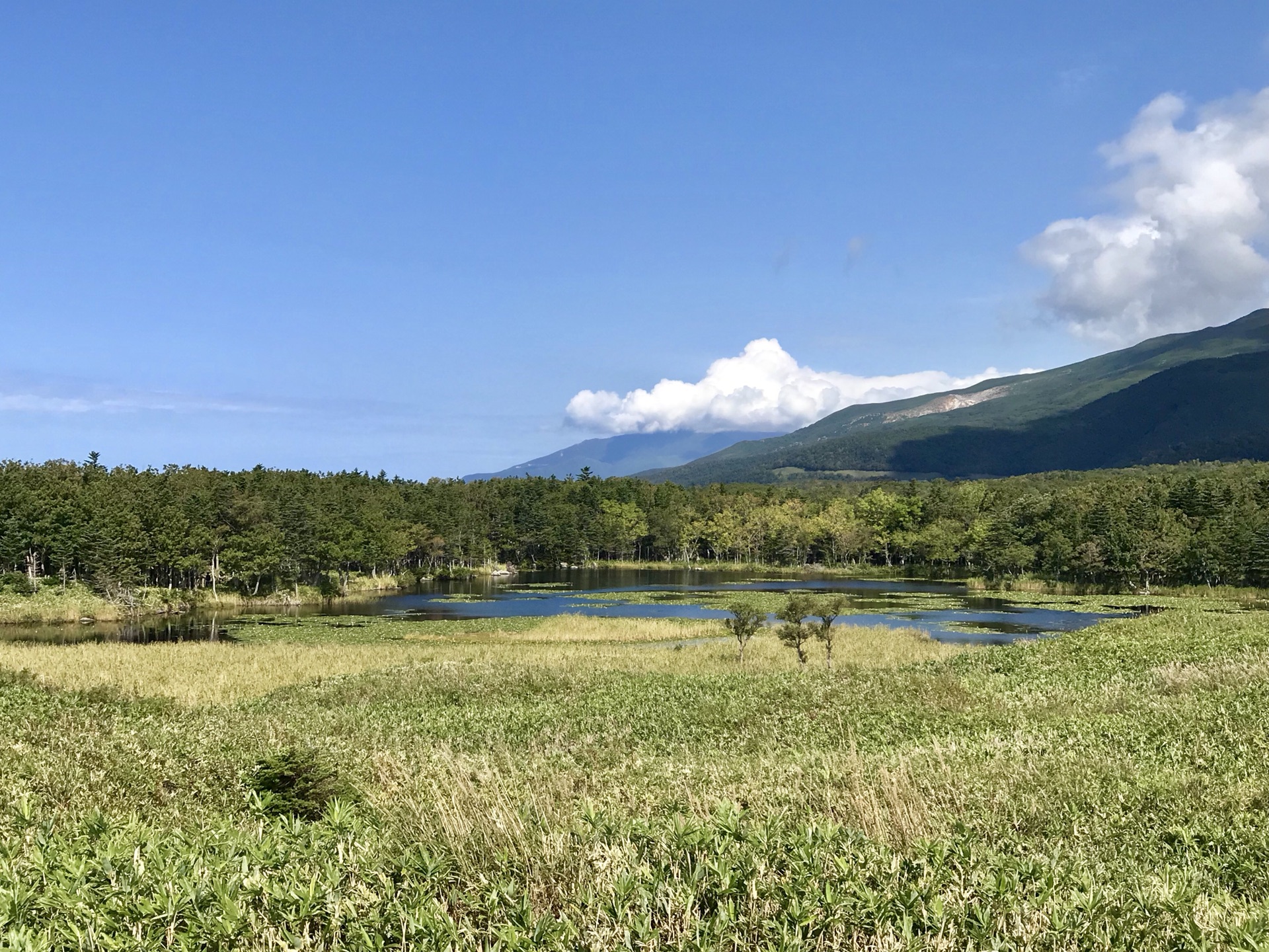 北海道自助遊攻略