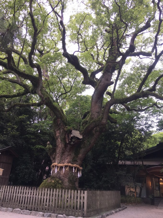 名古屋自助遊攻略