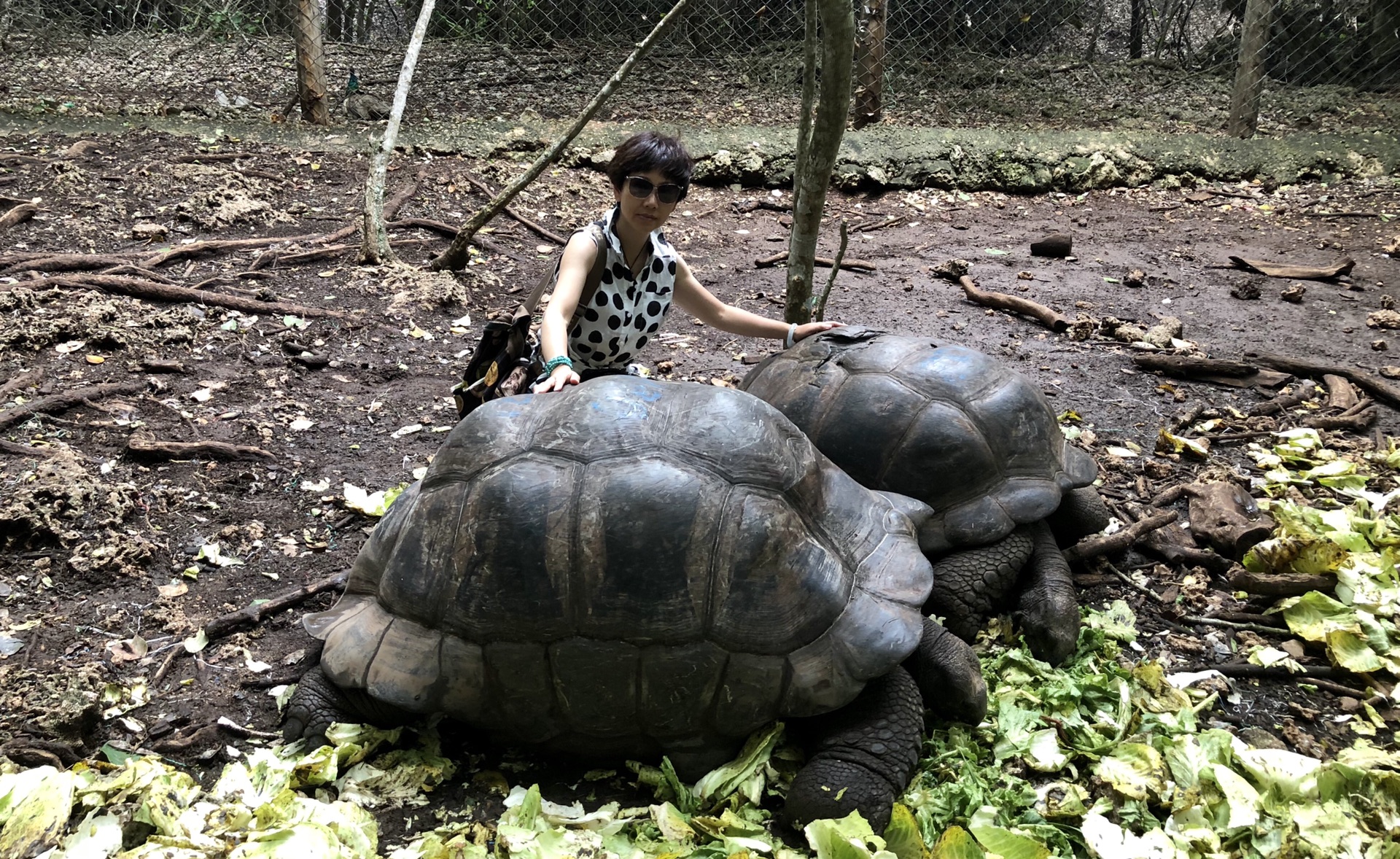 東非自助遊攻略