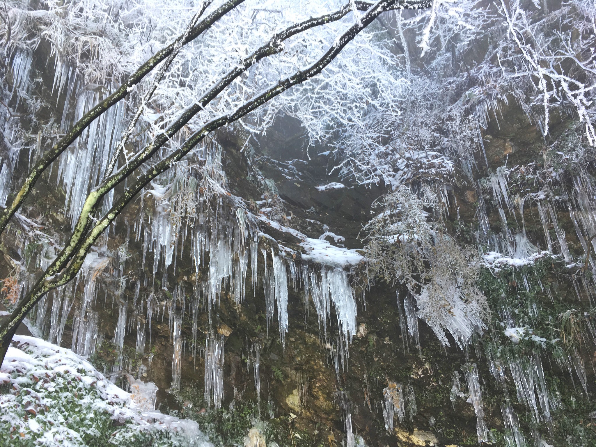wKgED1wXoWWAWPy7ABNDR_FZUqU61.jpeg?imageView2%2F2%2Fw%2F680%2Fq%2F90%7CimageMogr2%2Fstrip%2Fquality%2F90