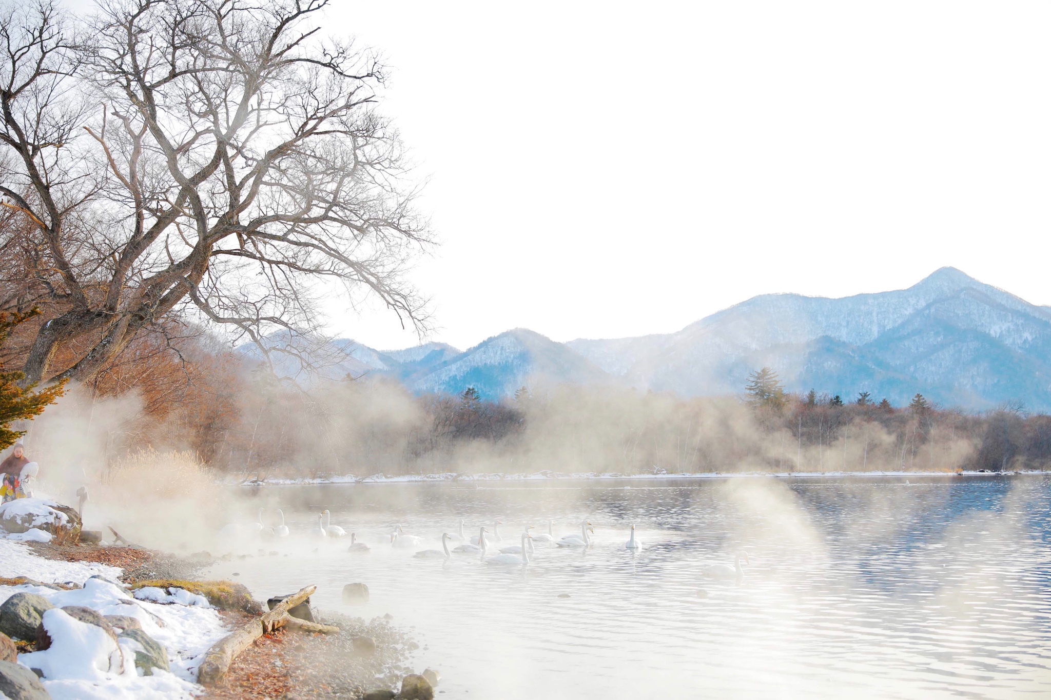 北海道自助遊攻略