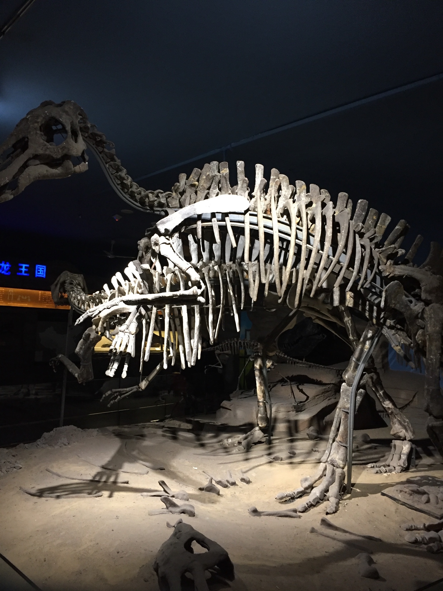 哈尔滨游记图片