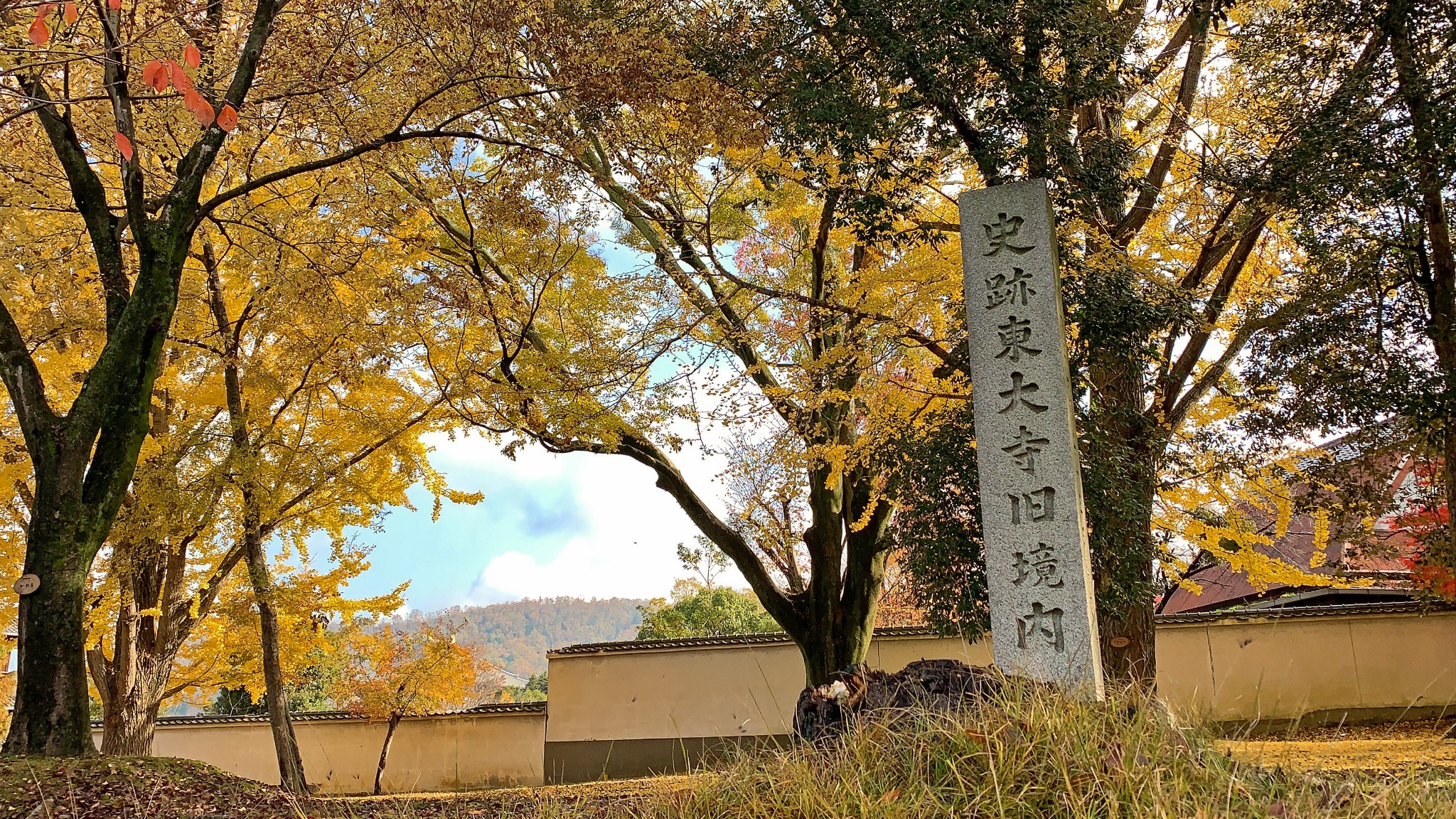 京都自助遊攻略