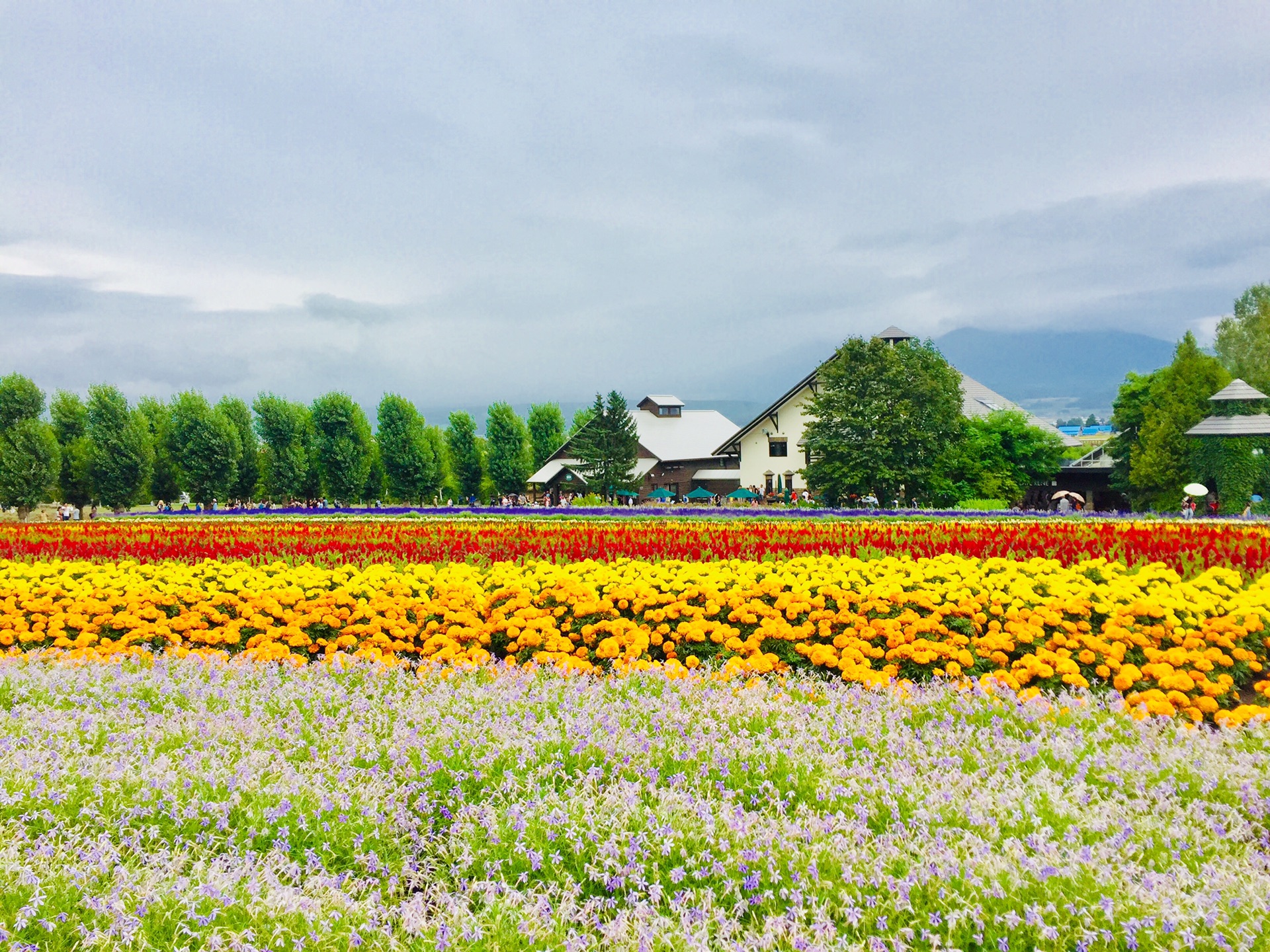 北海道自助遊攻略