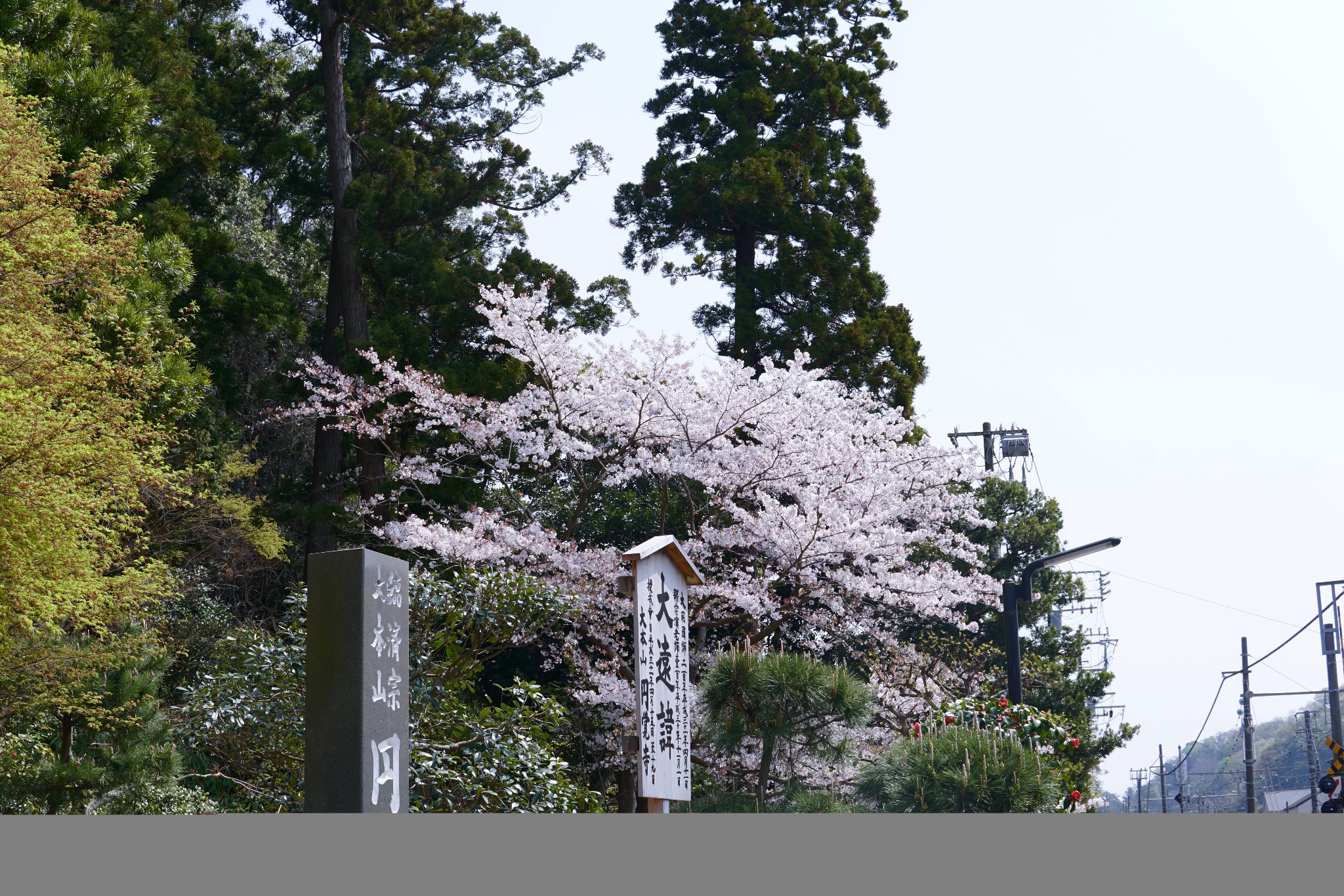 東京自助遊攻略