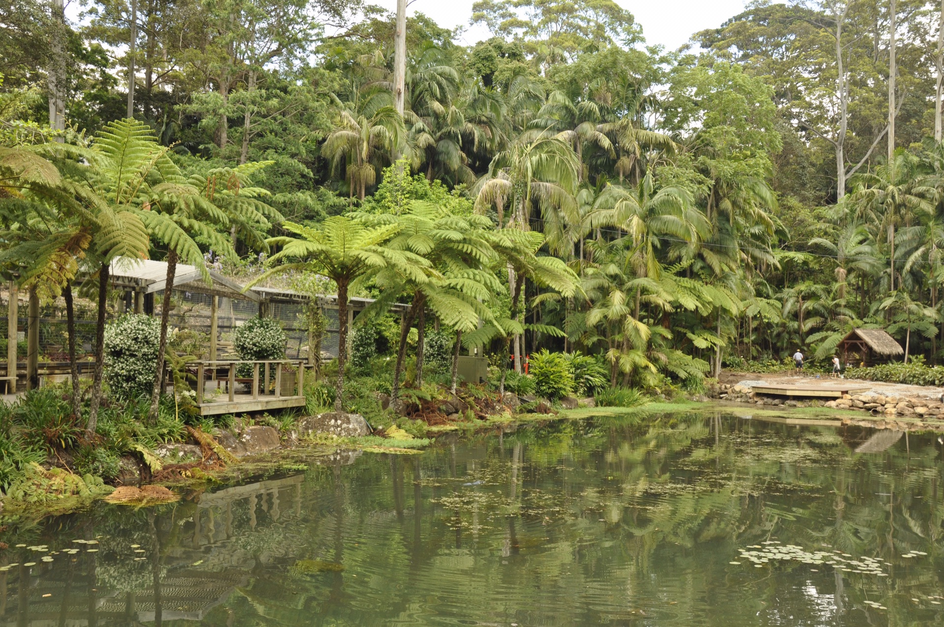 黃金海岸（澳大利亞）自助遊攻略