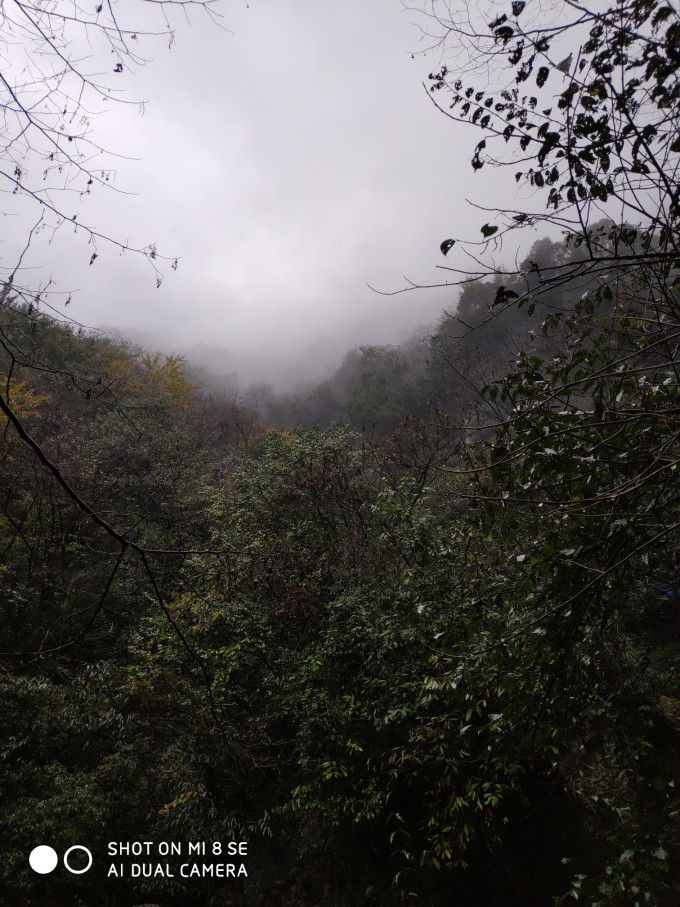 免费爬青城后山 wKgED1vyYcuAVJFTAA52pdkYBpI70.jpeg?imageView2%2F2%2Fw%2F680%2Fq%2F90%7CimageMogr2%2Fstrip%2Fquality%2F90