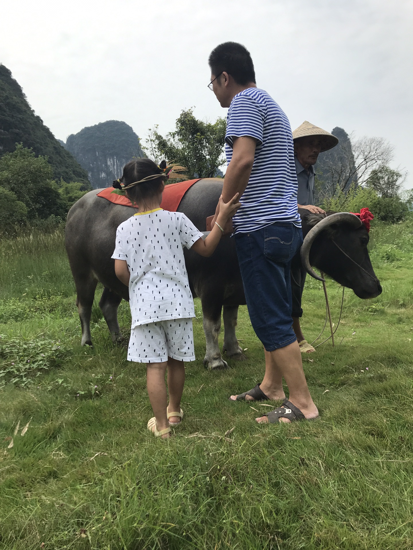 阳朔县2018人口出生率_阳朔县2018年未成年人社会保护工作联席会议顺利召开