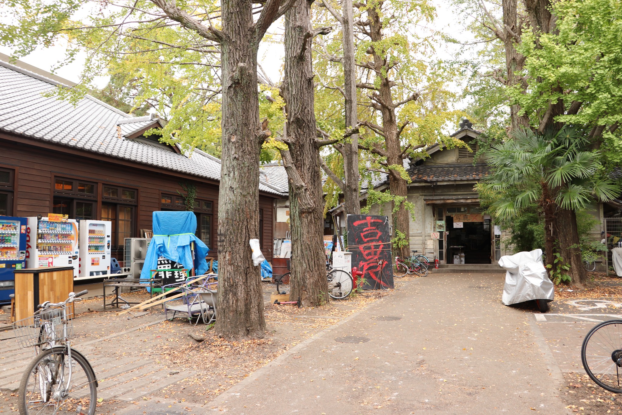 京都自助遊攻略