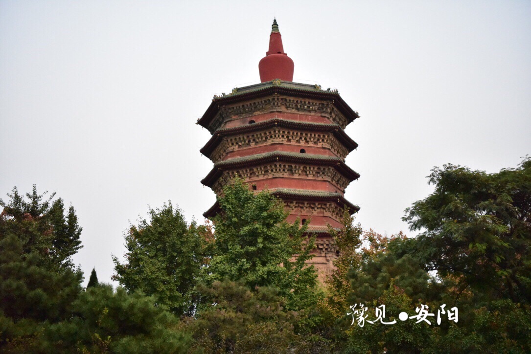 雲台山自助遊攻略