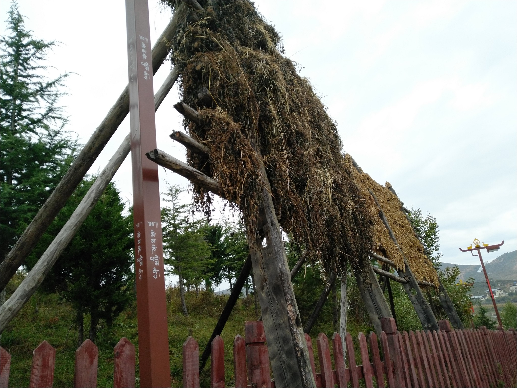 雨崩自助遊攻略