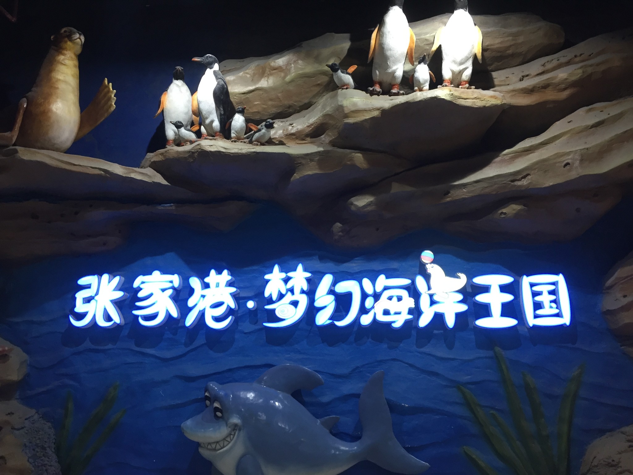 张家港 梦幻海洋王国位于吾悦广场负一层,规模不大,但很精致.