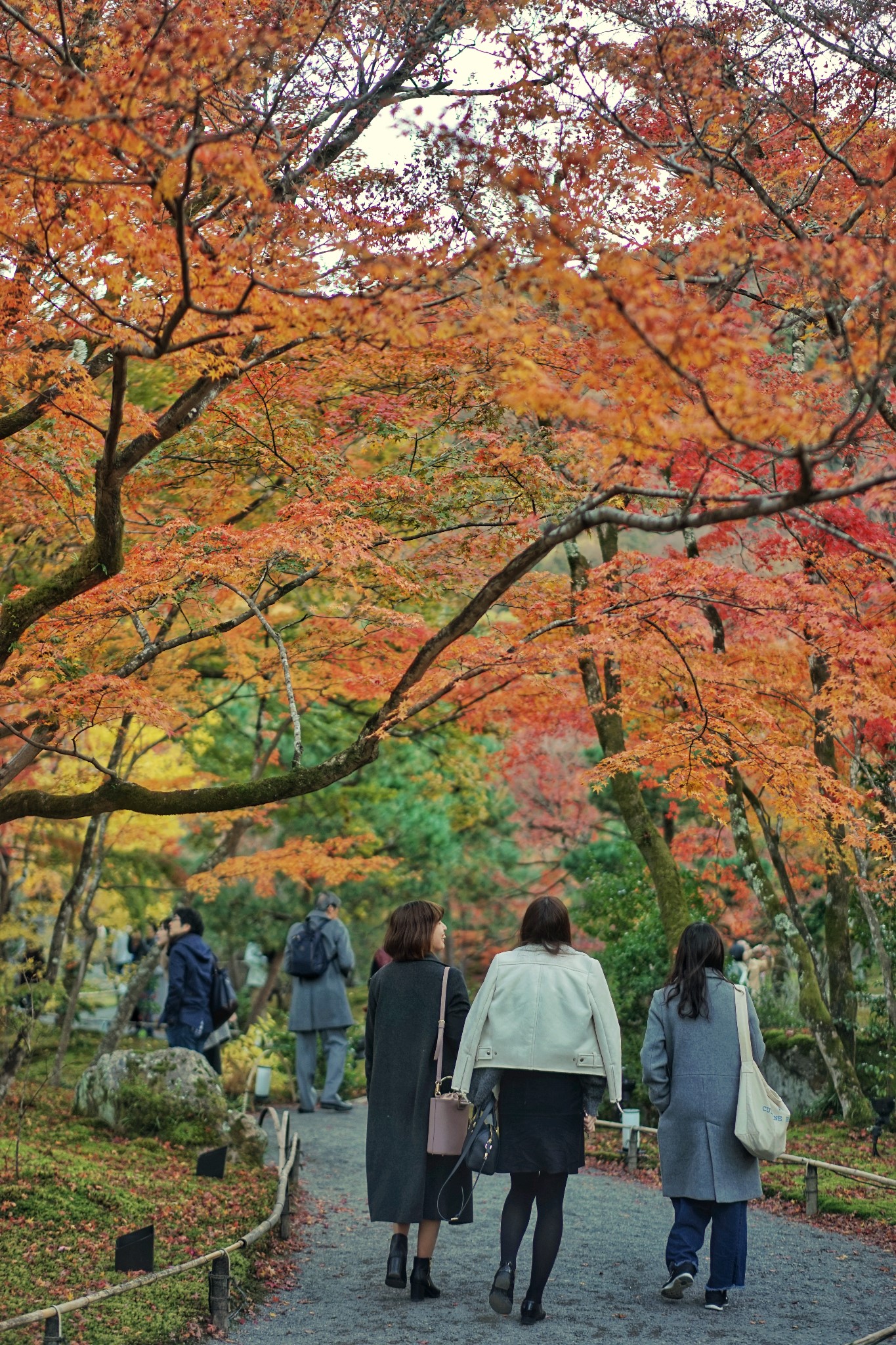 京都自助遊攻略