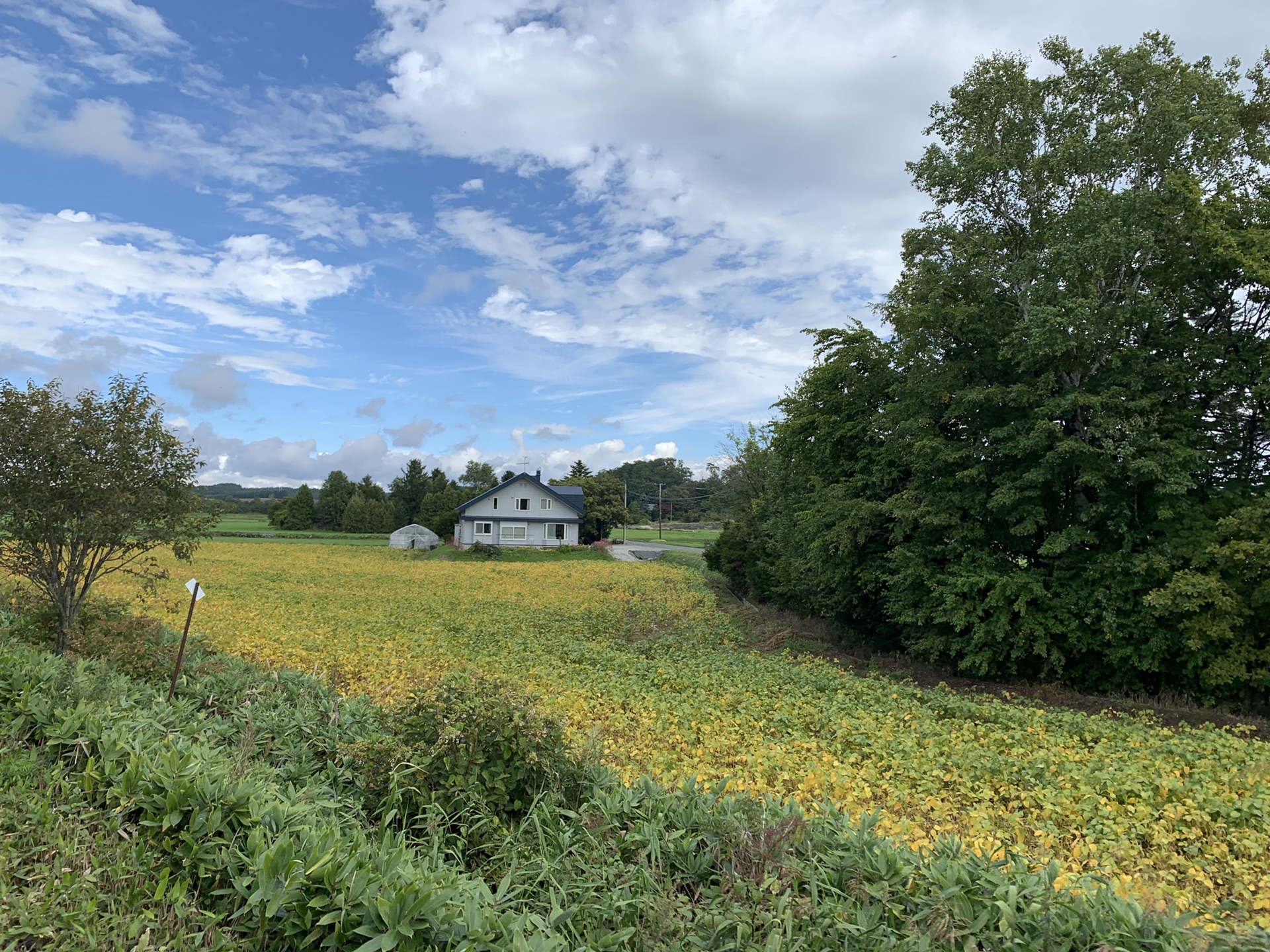 北海道自助遊攻略