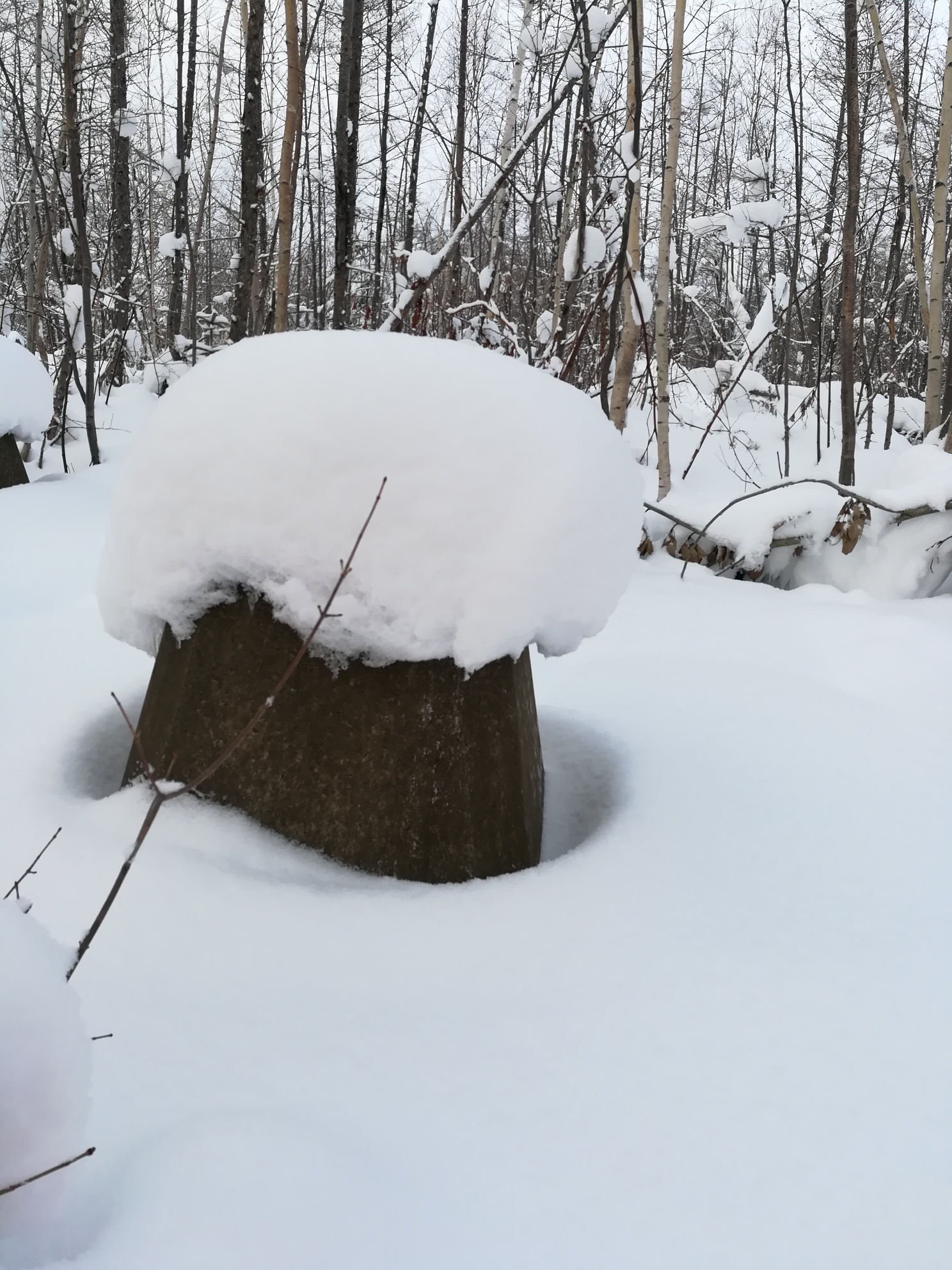 北海道自助遊攻略