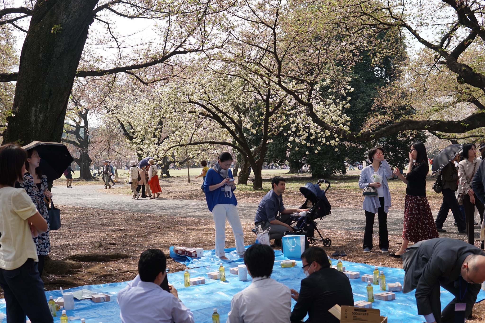 東京自助遊攻略