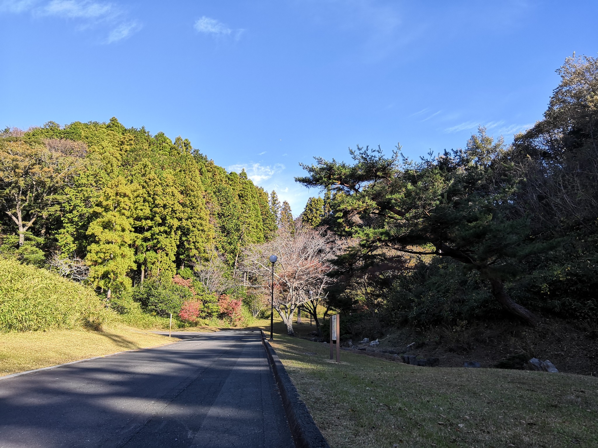 東京自助遊攻略