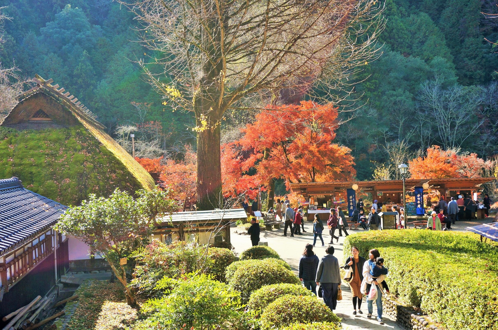 名古屋自助遊攻略